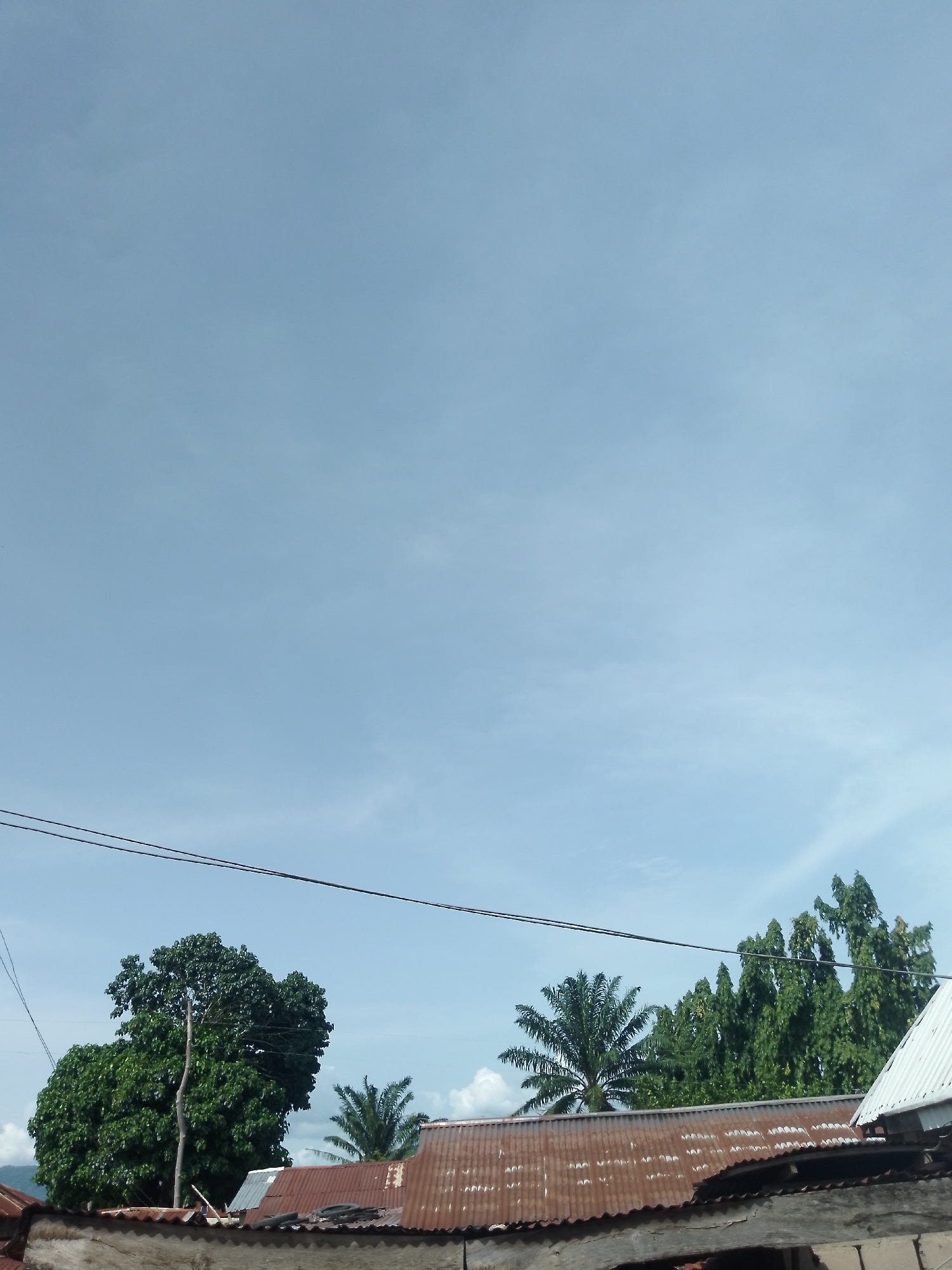 This is a landscape photograph taken from an elevated perspective, looking upwards towards a clear blue sky. The foreground is dominated by the corrugated tin roofs of several buildings, appearing weathered and rusty. A large, leafy green tree stands prominently to the left, with its branches reaching towards the sky. Behind it, a palm tree is visible. A row of tall, slender evergreen trees forms a backdrop on the right side of the image. Two dark electrical wires stretch horizontally across the sky, dividing the upper and lower portions of the frame. The overall impression is of a rural or semi-urban setting under a bright, cloudless sky. The location is listed as Unknown, Unknown. There are no people or animals visible in the image.
