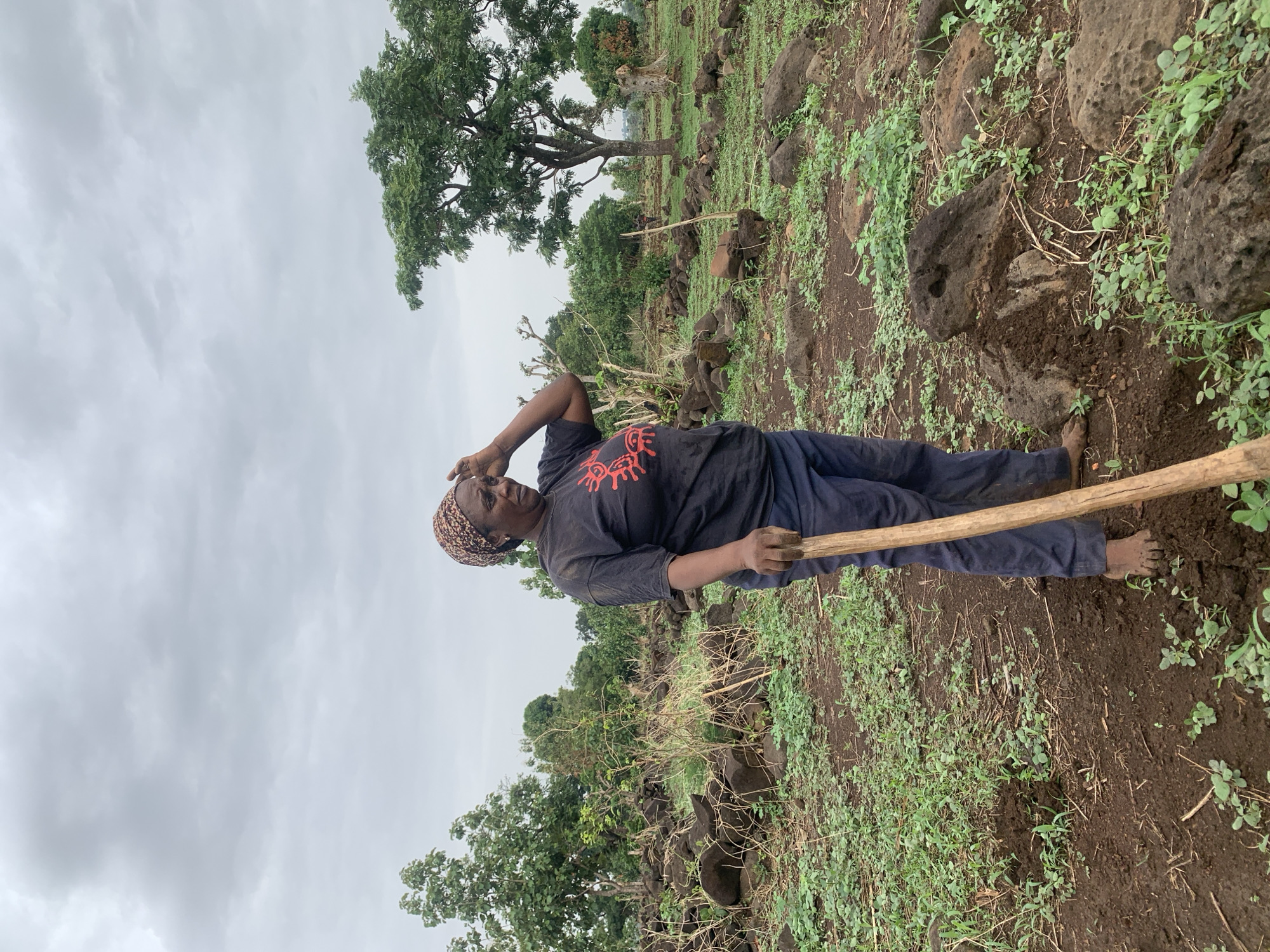 A woman stands in a field in Agban, Nigeria. She wears a patterned headscarf, a black t-shirt with a red design, and blue pants. She holds a long wooden stick and has her hand on her forehead, shielding her eyes. The field consists of dark soil dotted with green plants and large, dark rocks. Trees are visible in the background under a cloudy sky. The woman is barefoot, and her feet are covered in dirt.