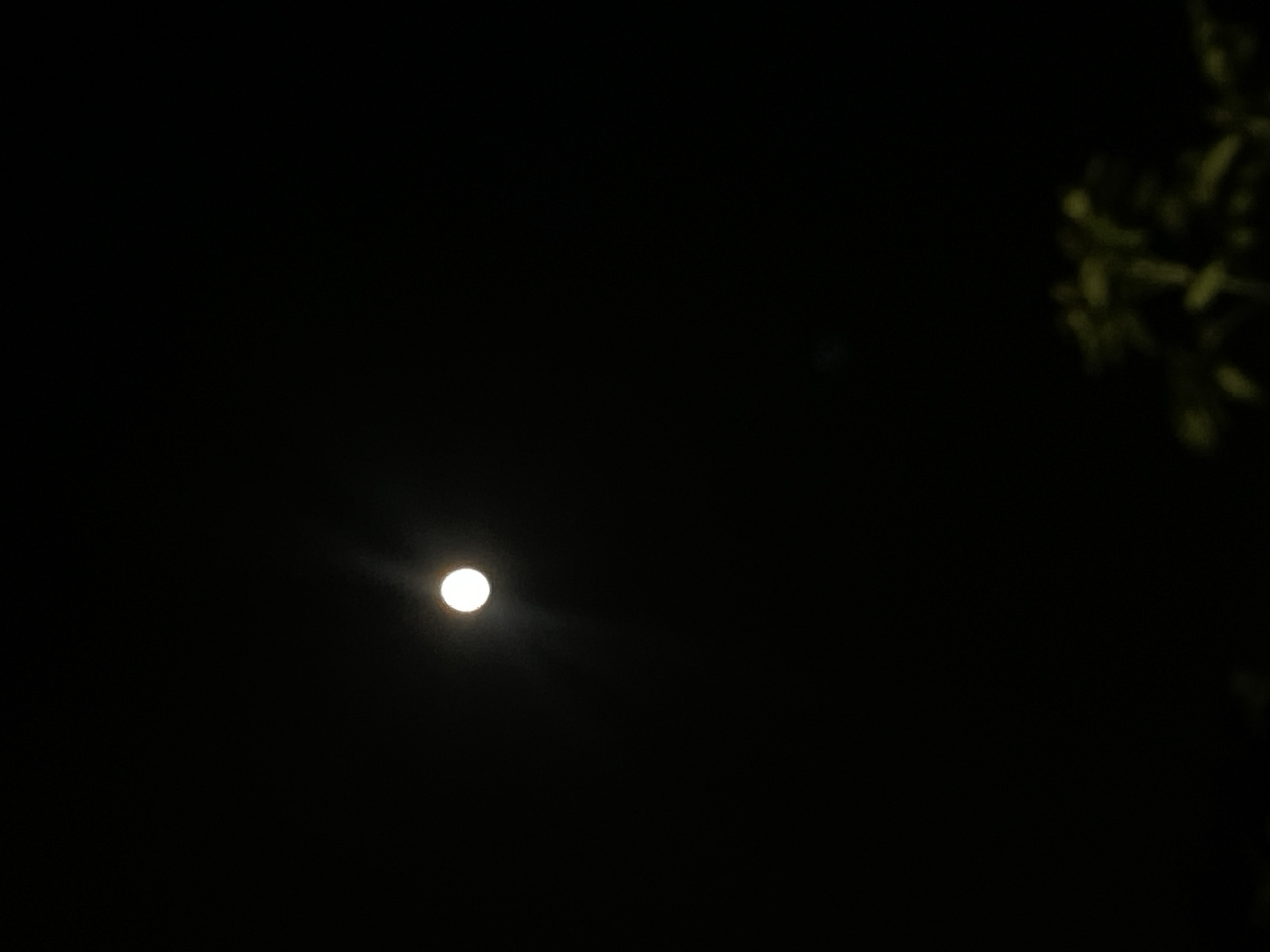 The image shows a dark night sky with a bright, full moon in the upper left quadrant. The moon is emitting a soft glow that creates a subtle halo around it. Below the moon, in the lower right corner of the frame, is a blurred silhouette of tree branches, illuminated by the moonlight. The overall scene is serene and typical of a clear night in a rural or suburban area. There is no indication of the specific location within Шарашенский, Russia, as no landmarks or identifying features are visible. The image is devoid of any human presence or activity.