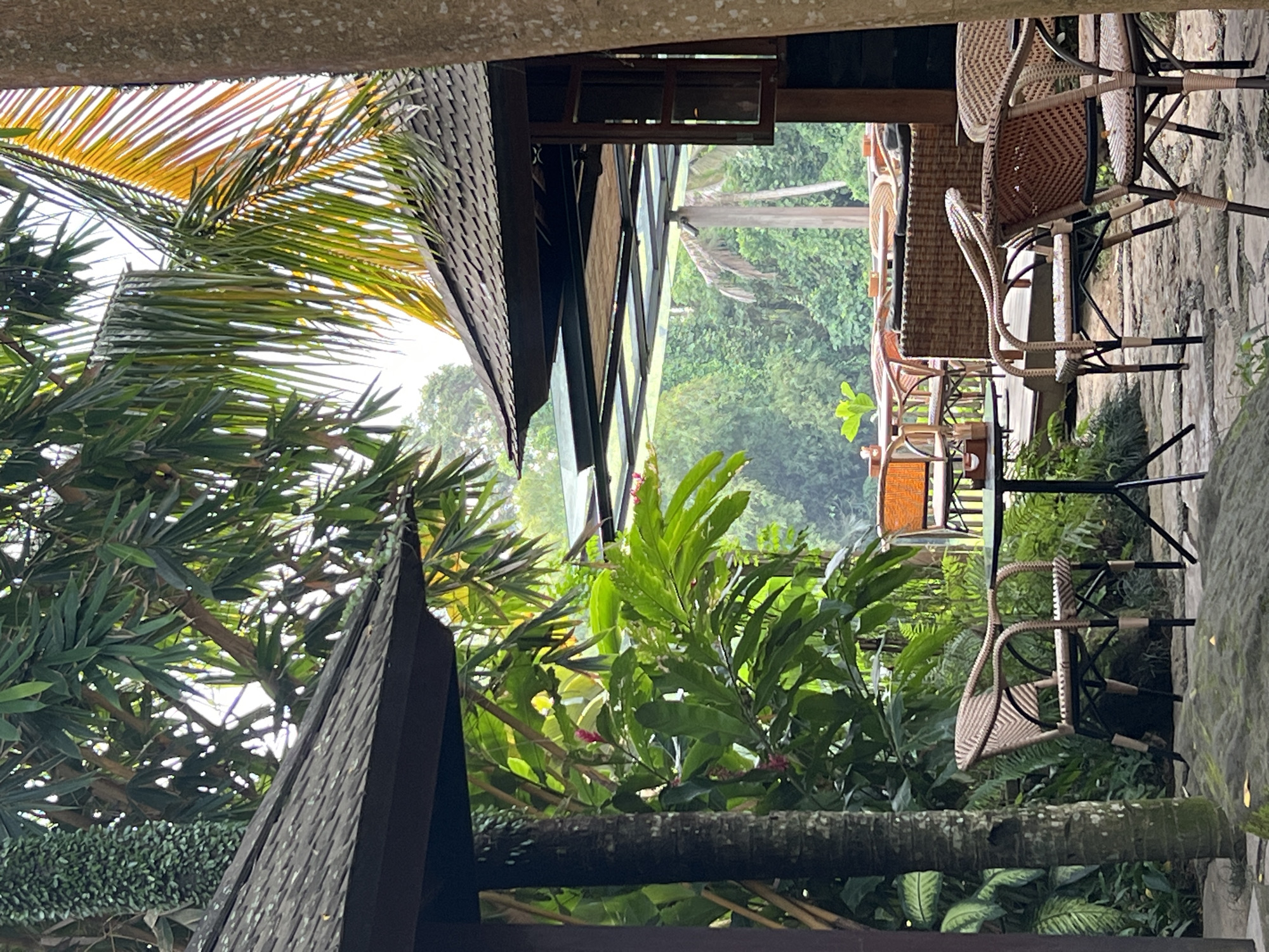 The image depicts a serene outdoor dining or lounge area set amidst lush tropical greenery, characteristic of Sukawati, Indonesia. The perspective is from under a covered structure, with a textured concrete or stone beam partially visible at the top edge, suggesting a sheltered vantage point.
In the mid-ground, several empty chairs and tables are arranged on a light-colored, irregularly paved stone or concrete floor. The chairs feature woven rattan or wicker seats and backs in beige and brown tones, supported by dark metal frames.
The scene is enveloped by dense, vibrant green foliage. Large palm fronds with yellowed tips are prominent on the left, and a variety of broad-leafed tropical plants fill the background and mid-ground, creating a natural, jungle-like ambiance. Portions of dark wooden buildings with steeply pitched roofs, possibly thatched, are visible on the left side and further into the background, seamlessly integrated with the natural surroundings. Another building with glass windows can be seen nestled among the trees.
The lighting is soft and diffused, indicating an overcast sky or a time of day with indirect sunlight, such as morning or late afternoon. No people are present, contributing to a sense of tranquility and quietude. There is no visible text in the image. The overall impression is one of a peaceful, nature-rich retreat.