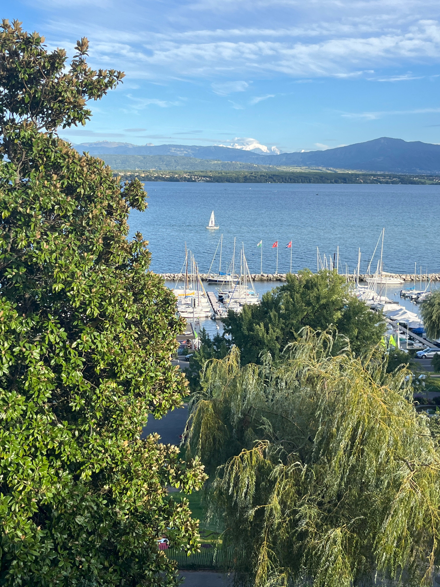 The image shows a view of Lake Geneva from Nyon, Switzerland, on a clear day with scattered clouds. In the foreground, there are two large trees, one a magnolia with broad green leaves, and the other a weeping willow with long, trailing branches. Beyond the trees, a harbor is visible, filled with numerous sailboats docked. Some of these sailboats have their sails down, while others have them partially raised. A single sailboat is out on the lake, appearing small in the distance. Across the lake, the distant shore is lined with trees and buildings, and beyond that, a range of mountains, some of which are capped with snow, can be seen. The water of the lake is a deep blue. Three flags are flying on poles along the edge of the harbor. The lighting suggests it is daytime, likely morning or afternoon, with sunlight casting shadows. There are no people clearly visible in the image, and no specific actions are taking place other than the boats being docked or sailing on the lake. The overall impression is a tranquil waterside scene with a backdrop of natural beauty.