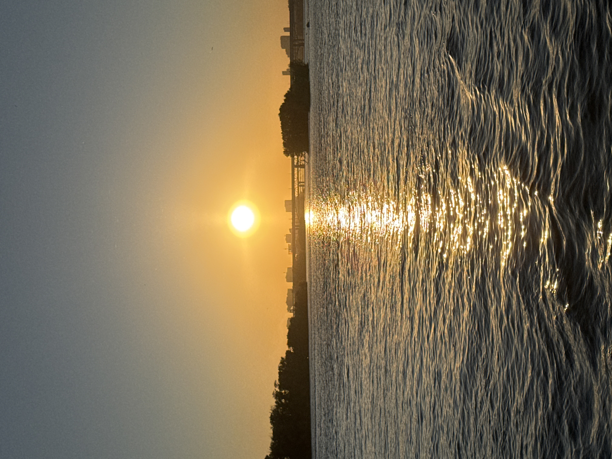 A vertical, medium shot captures a serene sunset over a body of water, likely a river, in Novosibirsk, Russia. The sun, a bright orb, sits low in the sky, casting a golden, hazy glow across the scene. Its reflection shimmers on the water's surface, creating a path of light that leads towards the viewer. The sky transitions from a pale yellow near the horizon to a soft blue overhead.
The water exhibits gentle ripples, suggesting a calm environment. In the background, a distant cityscape is visible, marked by silhouetted buildings and what appears to be a bridge spanning the water. Dense foliage, possibly trees lining the shore, forms a dark silhouette along the left side of the frame. There are no people or discernible animals in the image. The overall atmosphere is tranquil and picturesque, emphasizing the natural beauty of the sunset and the urban landscape.