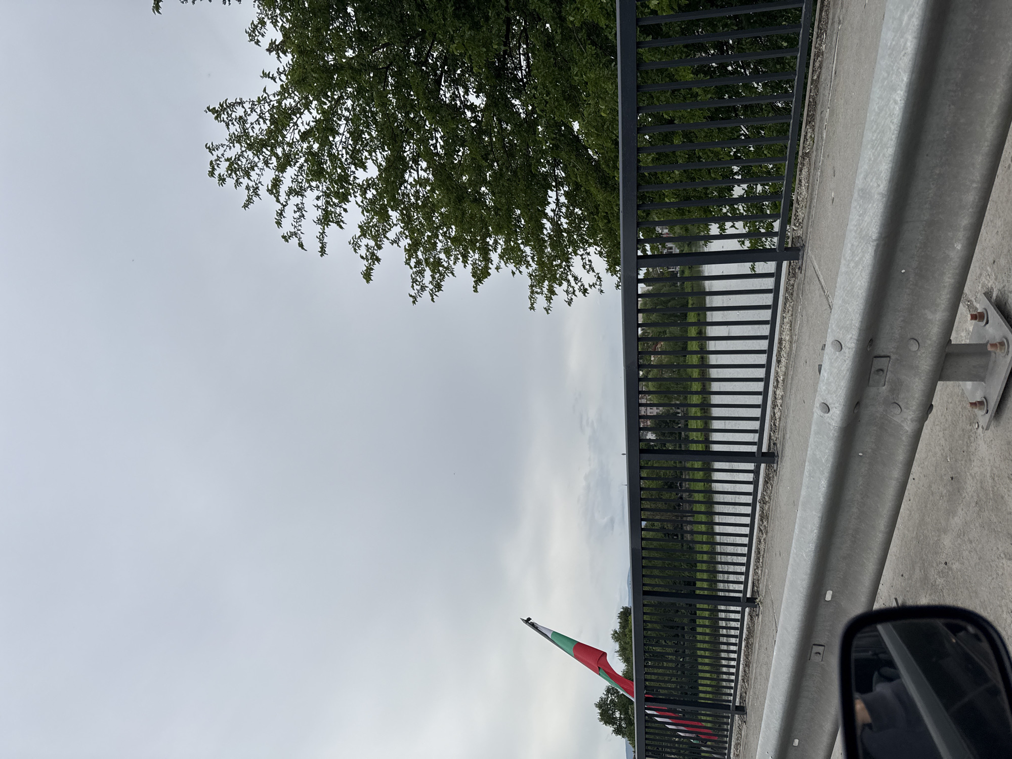 The image shows a scene from a bridge, likely in Plovdiv, Bulgaria, given the presence of a Bulgarian flag. The view is from the bridge's edge, with a gray metal guardrail and a black iron fence running along the right side of the frame. A tree with green leaves is visible above the guardrail on the left side of the image. The background shows a body of water or a wide river and foliage. The sky is overcast and gray. In the lower right corner, a portion of a vehicle side mirror is visible. The Bulgarian flag is positioned on a light pole attached to the bridge.
