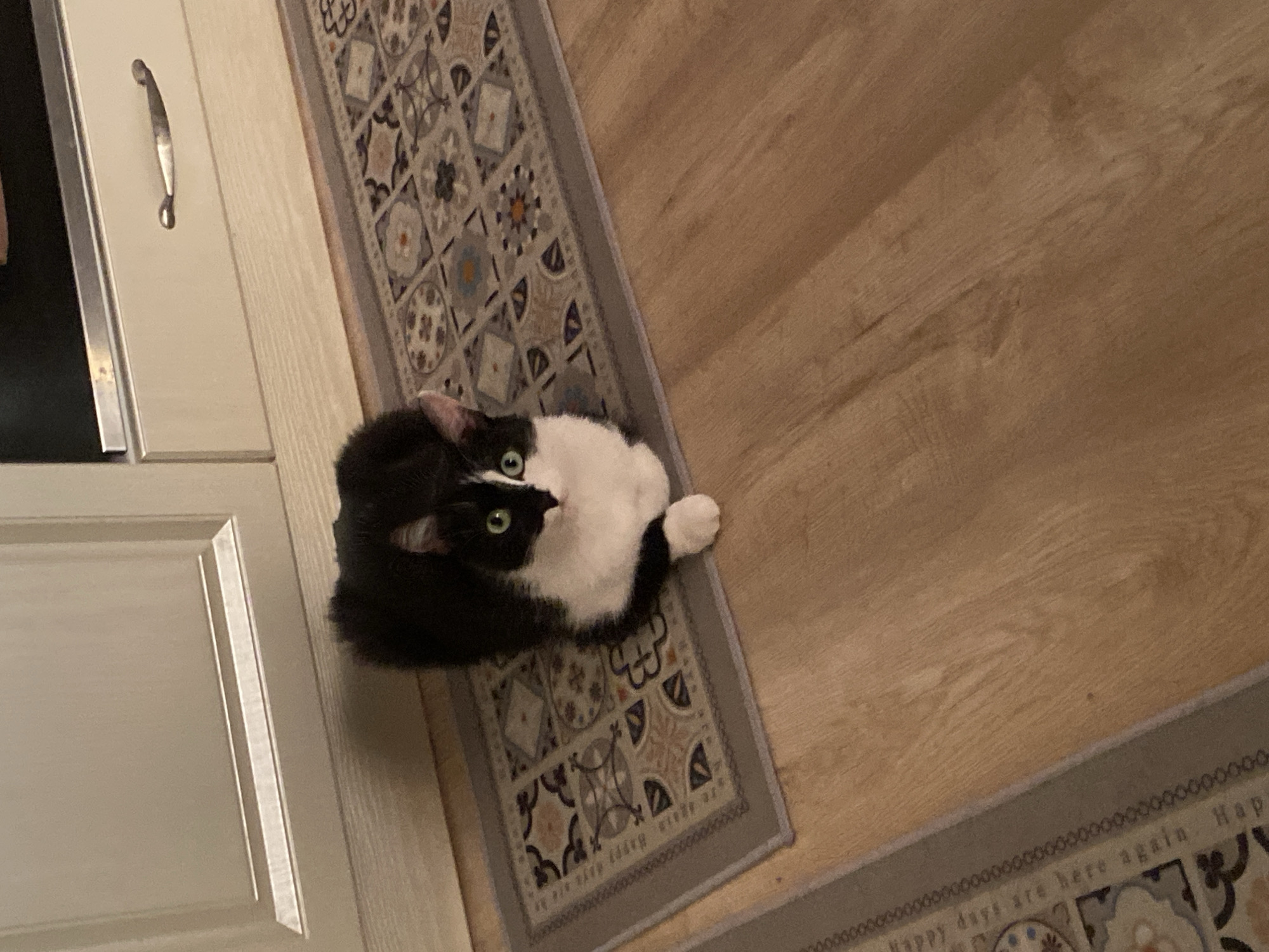 A black and white cat with striking green eyes is lying on a patterned rug indoors. The cat is curled up, with its head turned upwards and looking towards the viewer. Its fur is predominantly black on its back and head, with a distinct white patch on its face, chest, and front paws.
The setting appears to be a residential interior in Yekaterinburg, Russia. To the left of the cat, there are light-colored kitchen cabinets with a silver, curved handle visible on the upper cabinet door. A dark, reflective surface, possibly part of an appliance or another cabinet, is adjacent to the cabinet.
The cat rests on a rectangular rug featuring a detailed, repeating pattern of geometric and floral motifs in shades of grey, blue, brown, and off-white, bordered by a solid light grey edge. To the right of the rug, a light brown wooden floor with visible grain extends across the frame. Along the border of the rug on the right side, the text "happy days are here again" is partially visible. The lighting is artificial and gentle, consistent with an indoor environment. The image is taken from a slightly elevated, top-down perspective, capturing the cat and its immediate surroundings.
