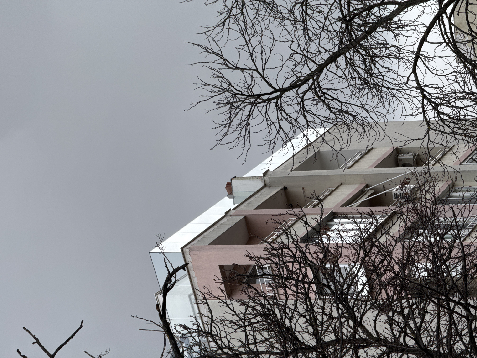 The image shows a multi-story building in Sofia, Bulgaria, viewed from a low angle, with bare tree branches obscuring parts of the facade. The building has a modern design, with a light-colored exterior and geometric shapes. Balconies or recessed areas are visible, some with ladders and air conditioning units. The sky is overcast, creating a flat, gray light. The focus is on the architectural details of the building and the stark contrast of the tree branches against the sky and structure.