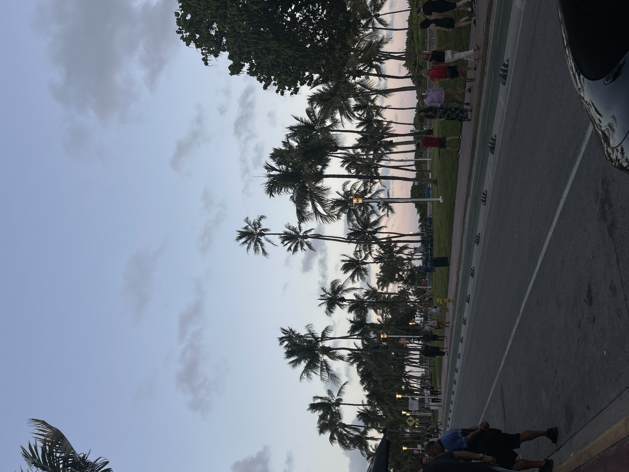 This vertical image, when rotated clockwise for proper viewing, captures an outdoor scene at dusk or twilight in Miami Beach. The upper portion of the frame features a soft light blue sky with scattered grey clouds, transitioning to a slightly warmer hue near the horizon behind the trees.
The left side of the scene is dominated by a dense line of tall palm trees, their dark silhouettes standing out against the evening sky. These trees extend from the foreground into the distance, lining what appears to be a park or green space. Adjacent to this verdant strip is a paved walkway or sidewalk where several people are seen. Their activity suggests a casual stroll or leisurely gathering. In the bottom right foreground, two men are partially visible; one wears a blue shirt and dark shorts, while the other is in a black shirt. Further along the path, other individuals are discernible in various casual clothing, including a person in a red shirt and another in a patterned dress, though their features are indistinct due to distance and lighting.
To the right of the pedestrian area, a paved road runs parallel, marked by a solid white dividing line. A series of dark-colored bollards or barriers separates the road from the walkway. A portion of a dark-colored car is visible on the far right edge of the image. Several lampposts are interspersed among the palm trees. The overall ambiance is tranquil and suggestive of a tropical evening. No discernible text is visible in the image.