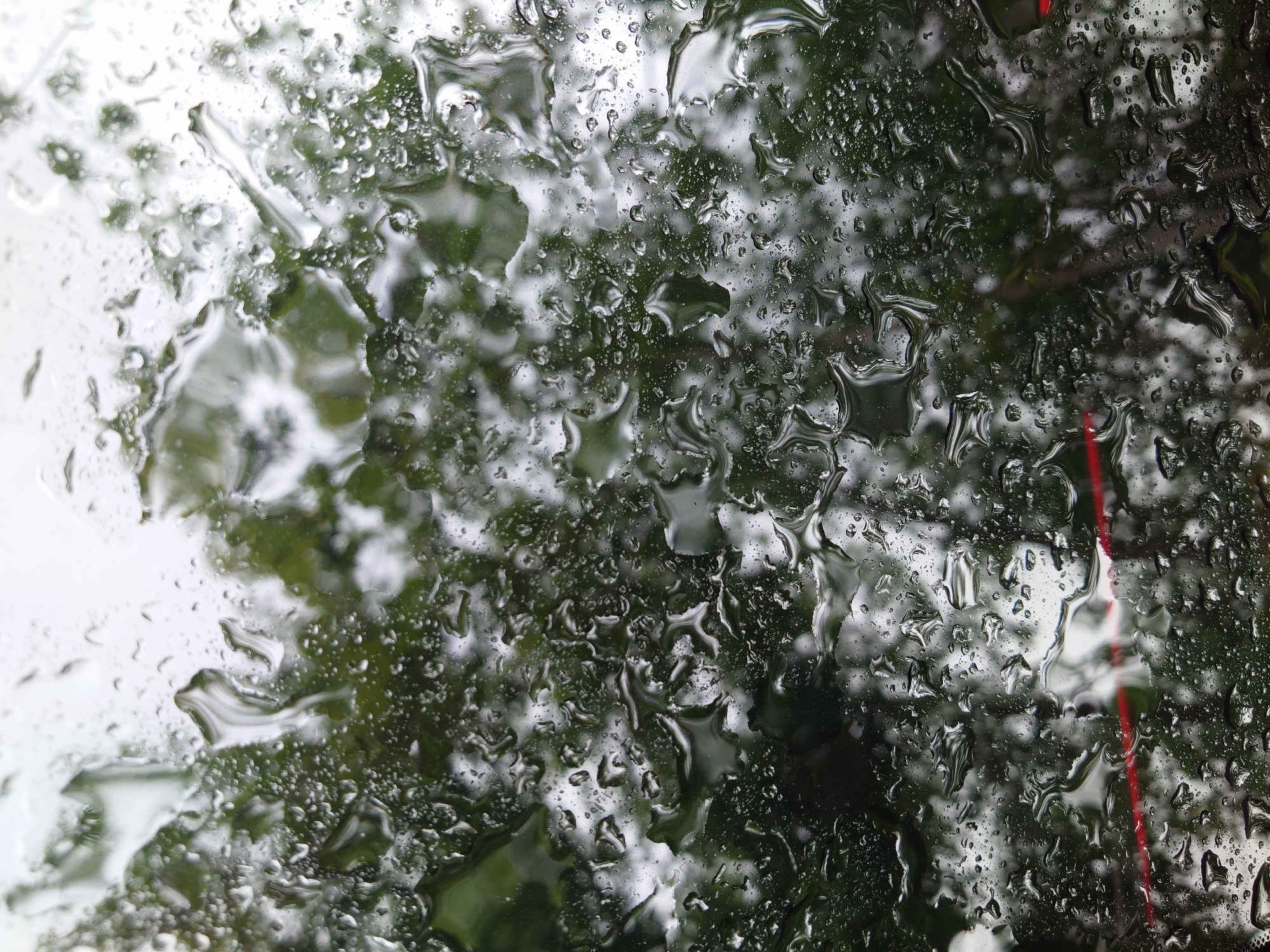 The image is a close-up shot of water droplets on a glass surface, likely a window. The background is blurred, showing greenery, possibly trees, and a bright, overcast sky. The water droplets are of various sizes and shapes, distorting the view of the background. Some droplets are small and rounded, while others are larger and elongated, creating streaks and patterns. A thin red line is visible horizontally across the lower portion of the image, also distorted by the water. There are no people, animals, or discernible man-made structures in the image other than the red line, which could be a part of something outside the window or a reflective element. The overall impression is one of a rainy day, seen through a water-streaked window, with the specific location in Sokolohirsk, Ukraine, being an inferred context rather than visually evident within the image itself.