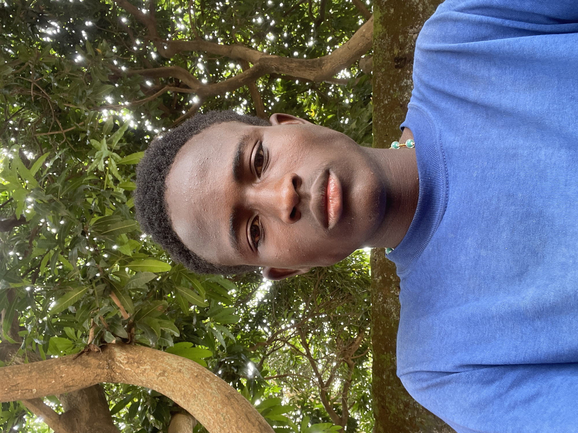 A young Black male is depicted in a close-up, selfie-style portrait, facing forward. He has short, dark, curly hair and brown eyes. He is wearing a blue crew-neck t-shirt. Around his neck, he wears a beaded necklace with teal-colored beads.
The background features a thick, light-brown tree trunk on the left and a dense canopy of green leaves and branches, with sunlight filtering through, on the right. A textured, moss-covered stone wall is visible horizontally behind the subject. The overall setting appears to be outdoors, with the vegetation suggesting a tropical or subtropical climate. The lighting indicates it is daytime. Based on visual cues, this photograph could have been taken in an outdoor environment within the city of Jos, Nigeria, characterized by lush vegetation and stone structures.