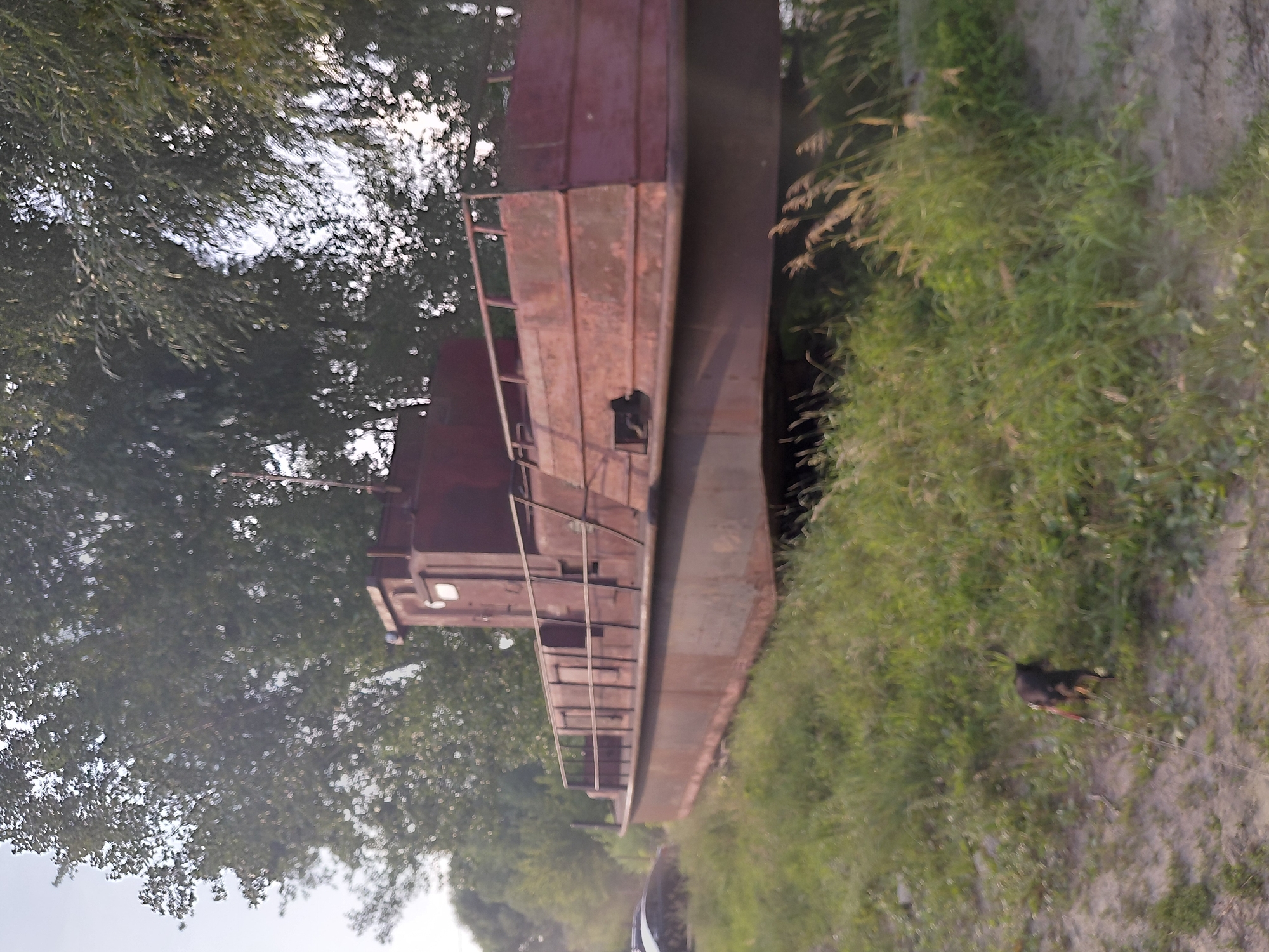 The image shows a rusty, maroon-colored barge beached on a grassy bank. The barge is long and rectangular, with a raised cabin structure at the front. It appears to be in disrepair, with visible rust and some damaged sections. Tall trees with green foliage form a backdrop behind the barge, and the sky is visible through the leaves, suggesting it is daytime. In the foreground, on the left side of the image, a small, dark-colored dog on a leash is walking on a dirt path next to the grass. The environment appears to be an outdoor, semi-natural setting, possibly a riverbank or lake shore within the city of Novosibirsk, Russia.