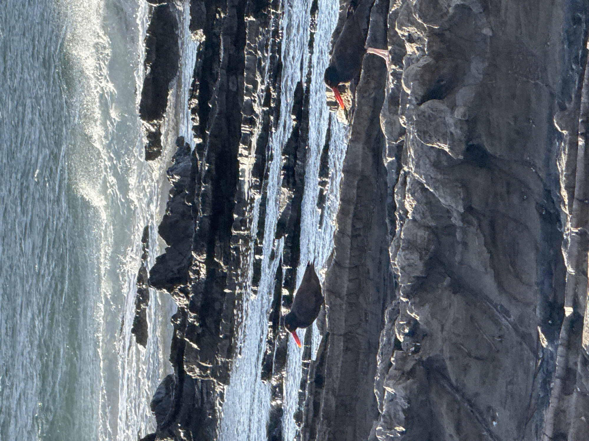 A tilted medium shot captures two black birds, possibly oystercatchers, on a rocky coastal edge, with the ocean visible to the left. The rocky terrain features vertical striations and varied textures. The ocean is active, with waves creating a dynamic water surface. The birds, characterized by their dark plumage and distinct red beaks, appear to be resting on the rocks. The lighting suggests a bright day, with highlights on the water and rocks. The overall scene evokes a natural coastal environment.