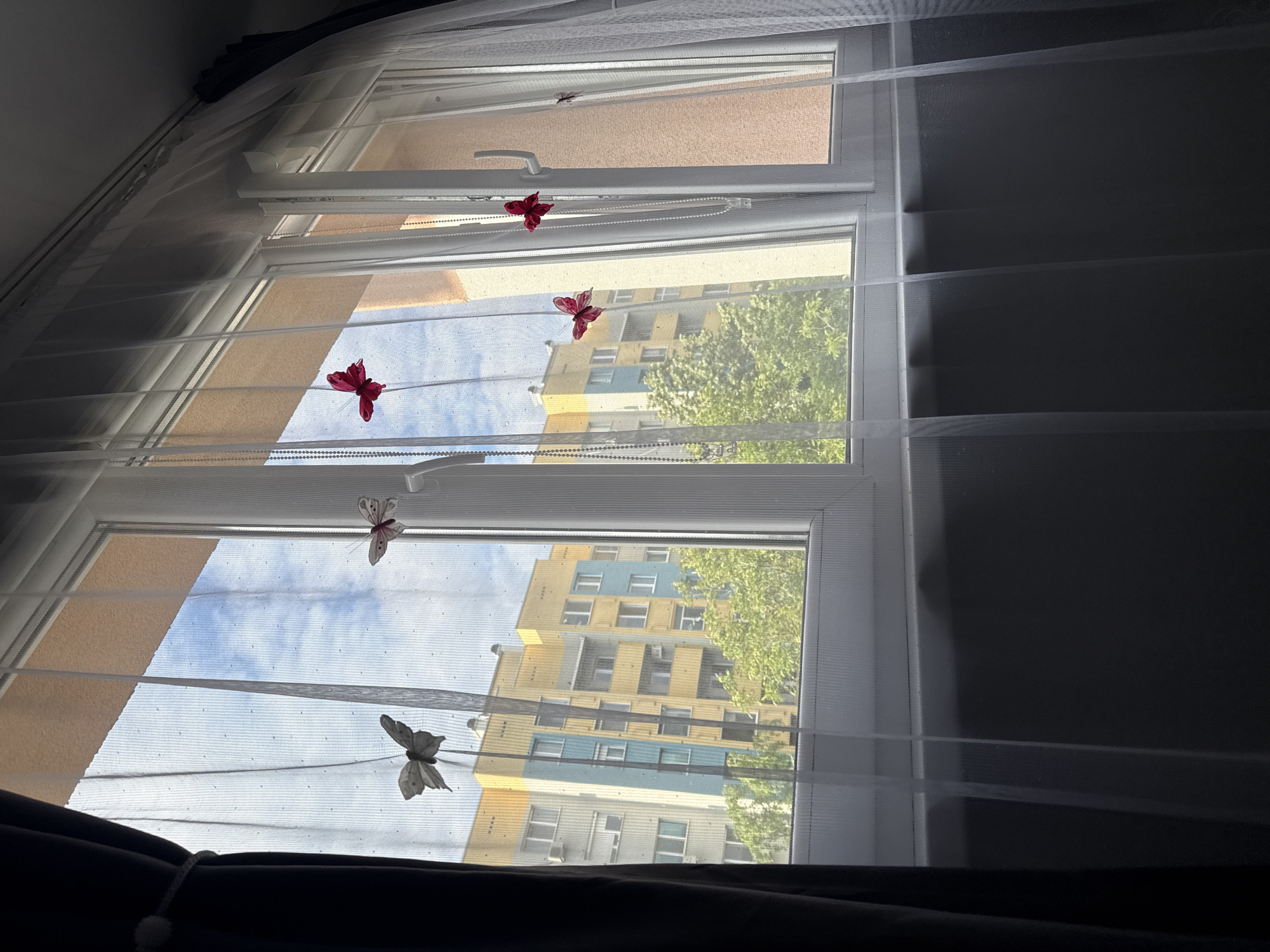 A view from an indoor window in Stara Zagora, Bulgaria, shows a multi-story building with a mix of yellow, white, and blue panels visible through the sheer curtain. The window is adorned with butterfly decorations. A tree with green leaves is partially visible in front of the building. The sky is blue with some clouds. The lower part of the image is dark, likely due to curtains or a covered area. The window frame is white, and the window is partially open with white blinds. A dead fly is visible on the top window pane.