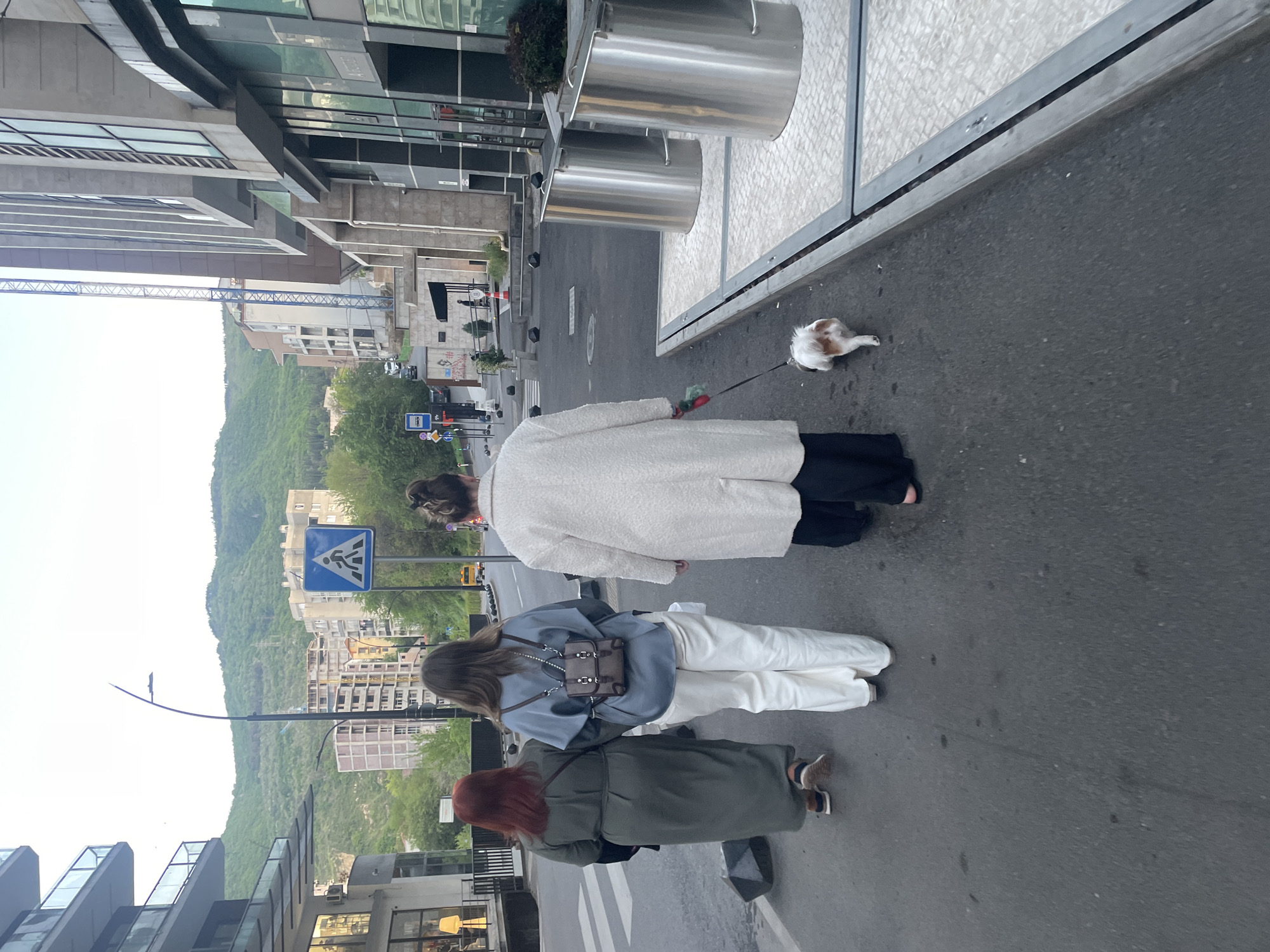 The image depicts a street scene in Tbilisi, Georgia. Three women are walking along a sidewalk next to a road. One woman in a white coat is walking a small dog on a leash. The other two women are walking behind her, one in a blue jacket and white pants, and the other in an olive green coat. A pedestrian crossing sign is visible in the background. There are buildings and trees on the other side of the road. The sky is overcast.