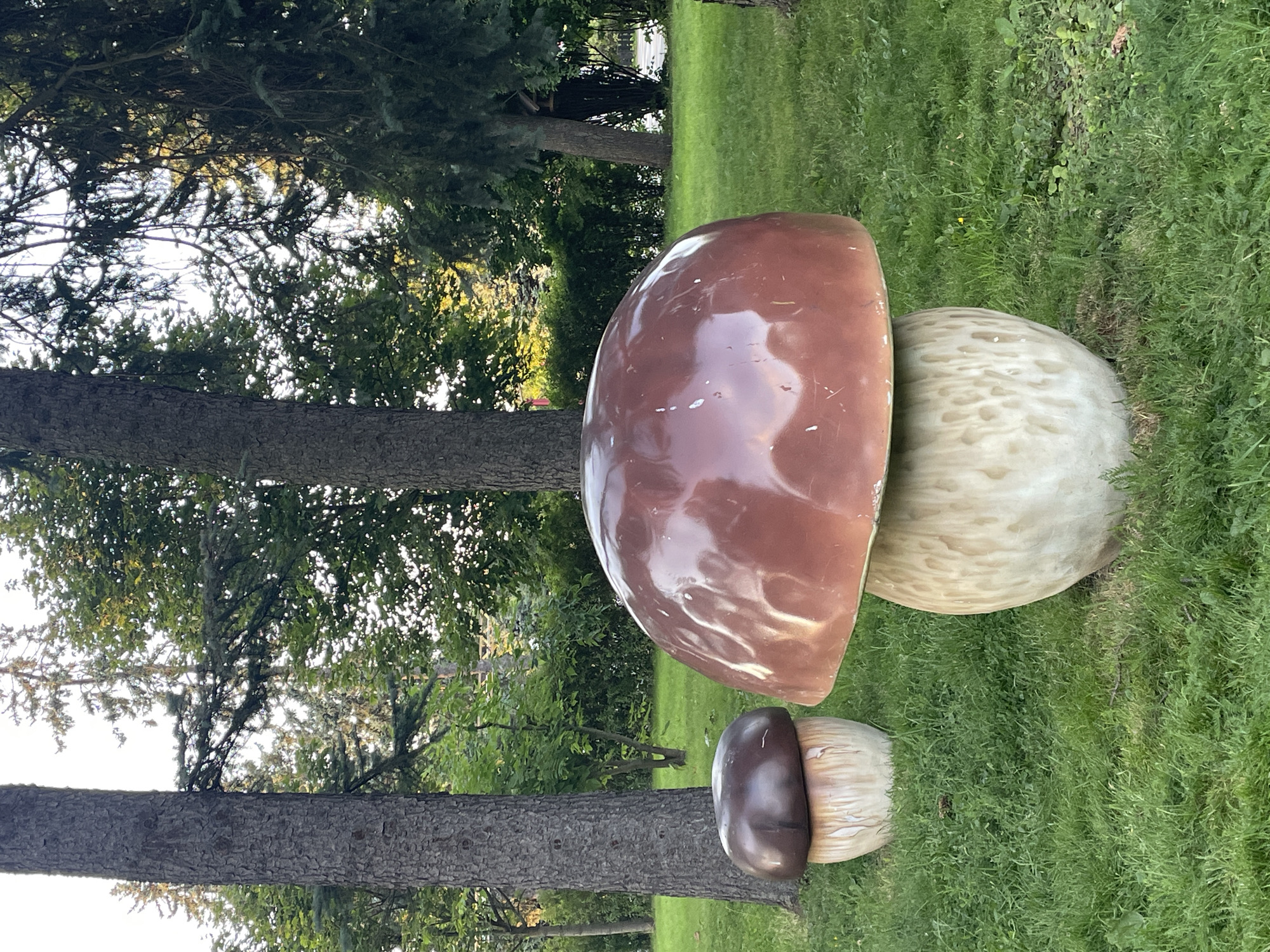 The image depicts two oversized decorative mushrooms situated on a grassy lawn in a park-like setting with several mature trees. The larger mushroom, in the foreground, has a dark brown cap with some white scuff marks and a tan, textured stem. To the left and slightly behind it, a smaller mushroom with a dark brown cap and a tan stem is visible. The trees have rough bark and dense green foliage. The overall lighting suggests it is daytime, possibly late afternoon, with sunlight filtering through the leaves. The scene is serene and appears to be outdoors.
