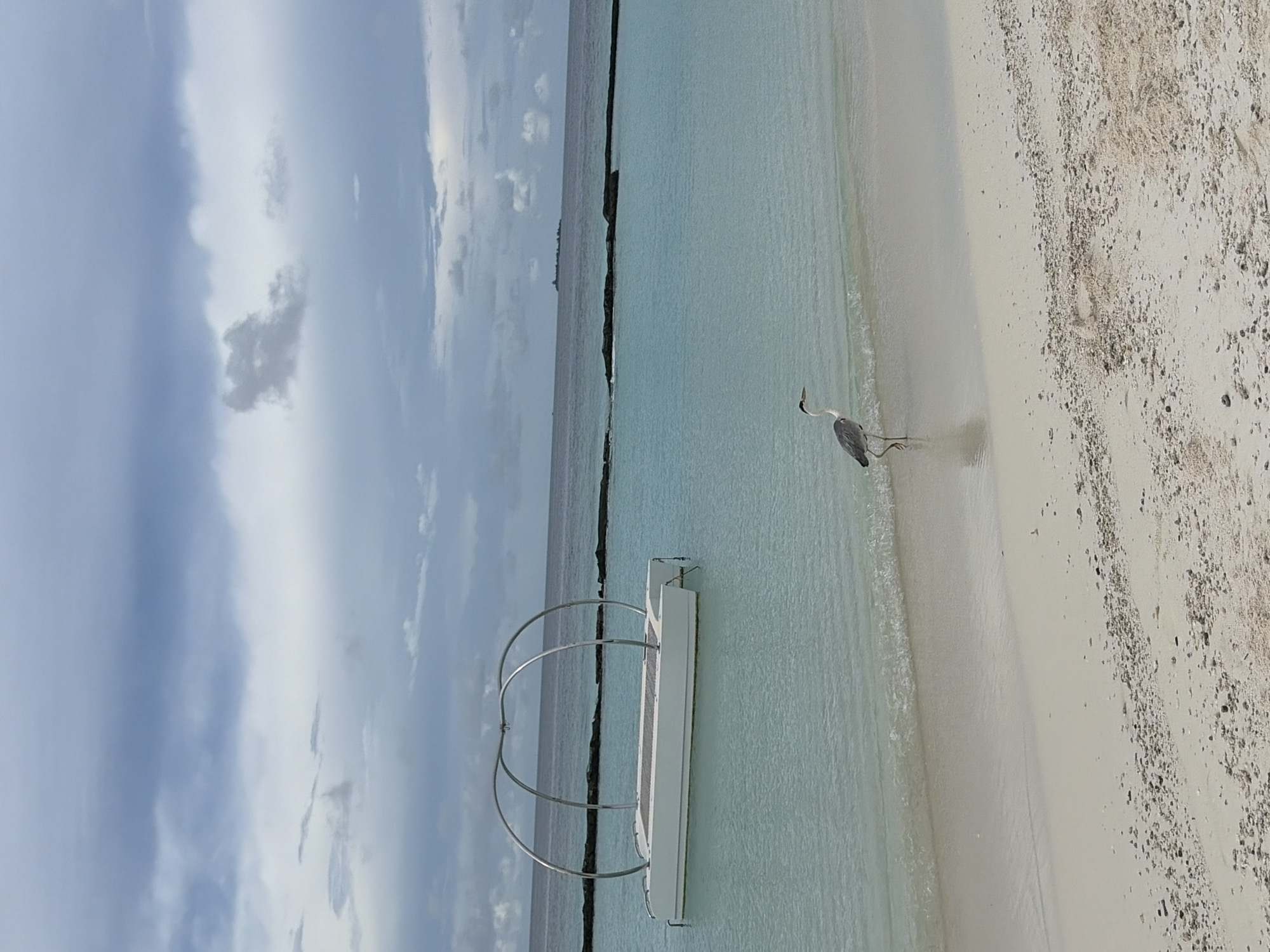 A heron stands at the edge of the ocean on a sandy beach in Halaveli, Maldives. The water is clear and shallow, with small waves lapping at the shore. In the background, a white floating structure with metal arches is visible on the water. The sky is overcast with dramatic clouds. The beach is composed of fine white sand with scattered shells and debris.