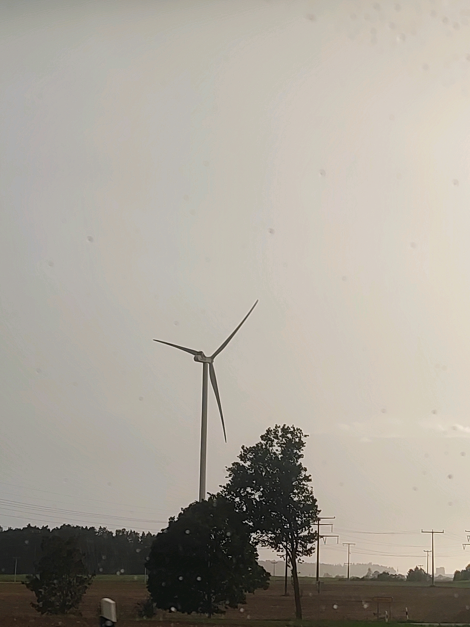 The image depicts a rural landscape in Lichtenau, Germany, under an overcast sky. A prominent wind turbine stands in the middle ground, its blades angled upwards. To the right of the turbine, a large, dark-leaved tree partially obscures the view. In the foreground, the ground appears to be cultivated soil, with scattered bushes. A row of power line poles with visible wires stretches across the horizon. In the distance, a line of trees forms a dark silhouette against the hazy sky. The image has a slightly hazy or rainy quality, with visible droplets on what appears to be the surface of a window. No people are visible in the scene.