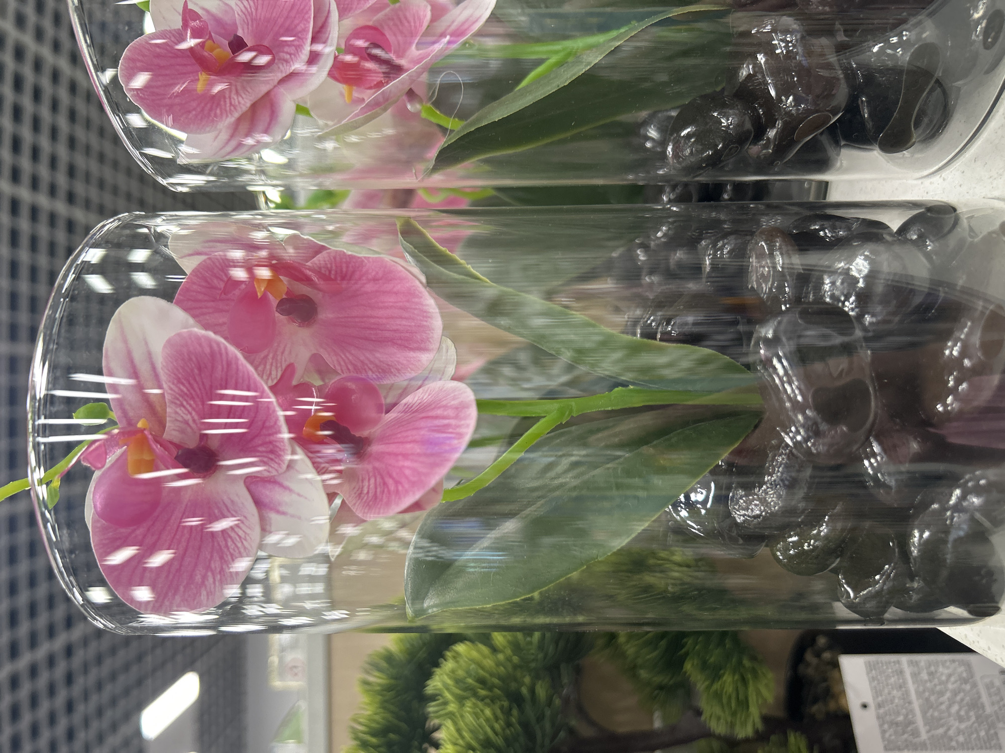 Two identical cylindrical glass vases are stacked vertically. Each contains a pink and white orchid, green leaves, and dark, smooth stones. The vases are placed on a surface next to a green, bushy plant. A white shelf grid is visible in the background. The location is likely a retail environment, such as a store or market, in Varna, Bulgaria.
