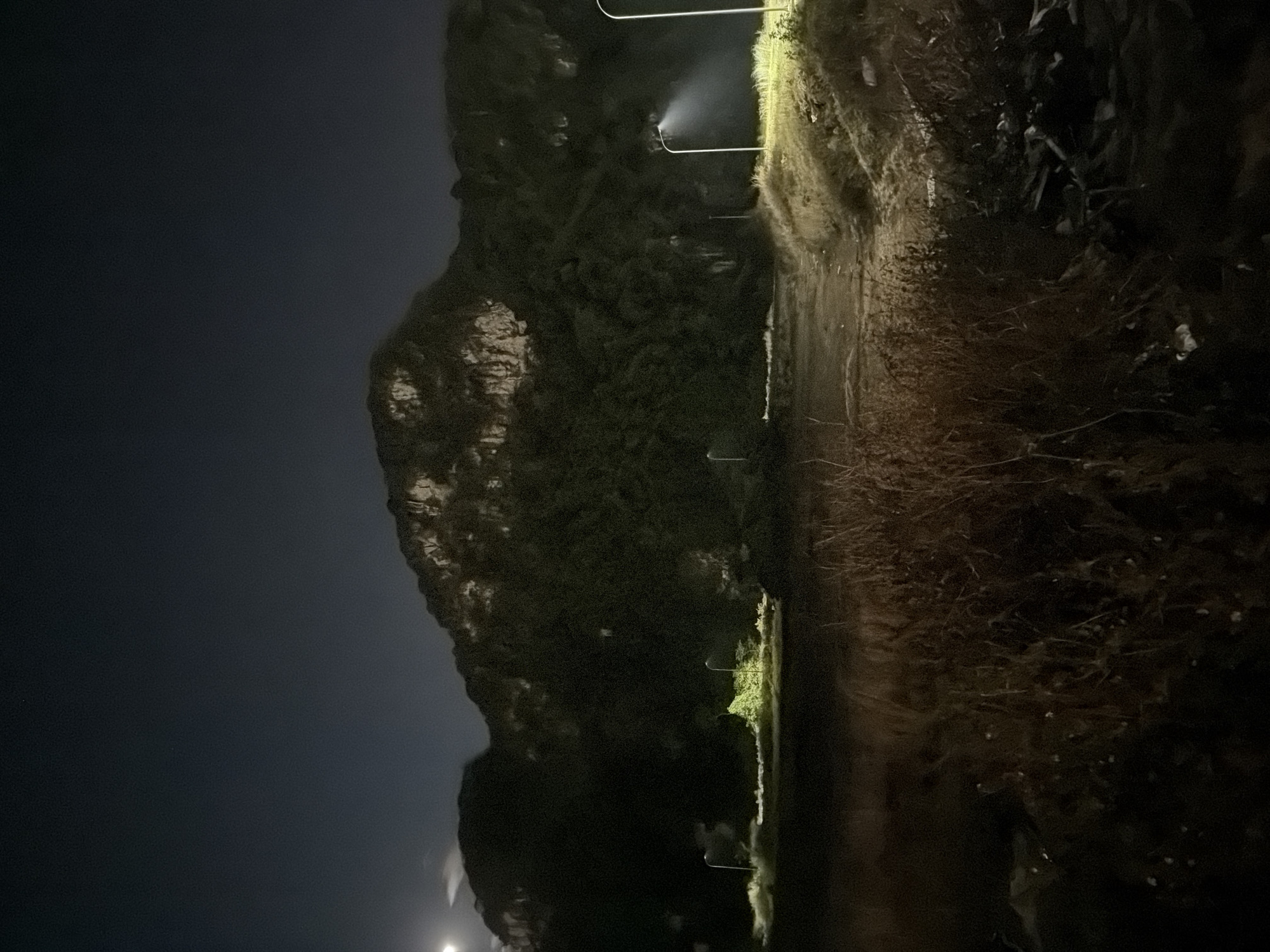The image depicts a night scene in Đà Nẵng, Vietnam. A large, dark mountain occupies the left side of the frame, contrasting with the dark night sky. A road runs along the base of the mountain, illuminated by sporadic streetlights. The road appears to be adjacent to a grassy or overgrown area. The scene lacks human presence.