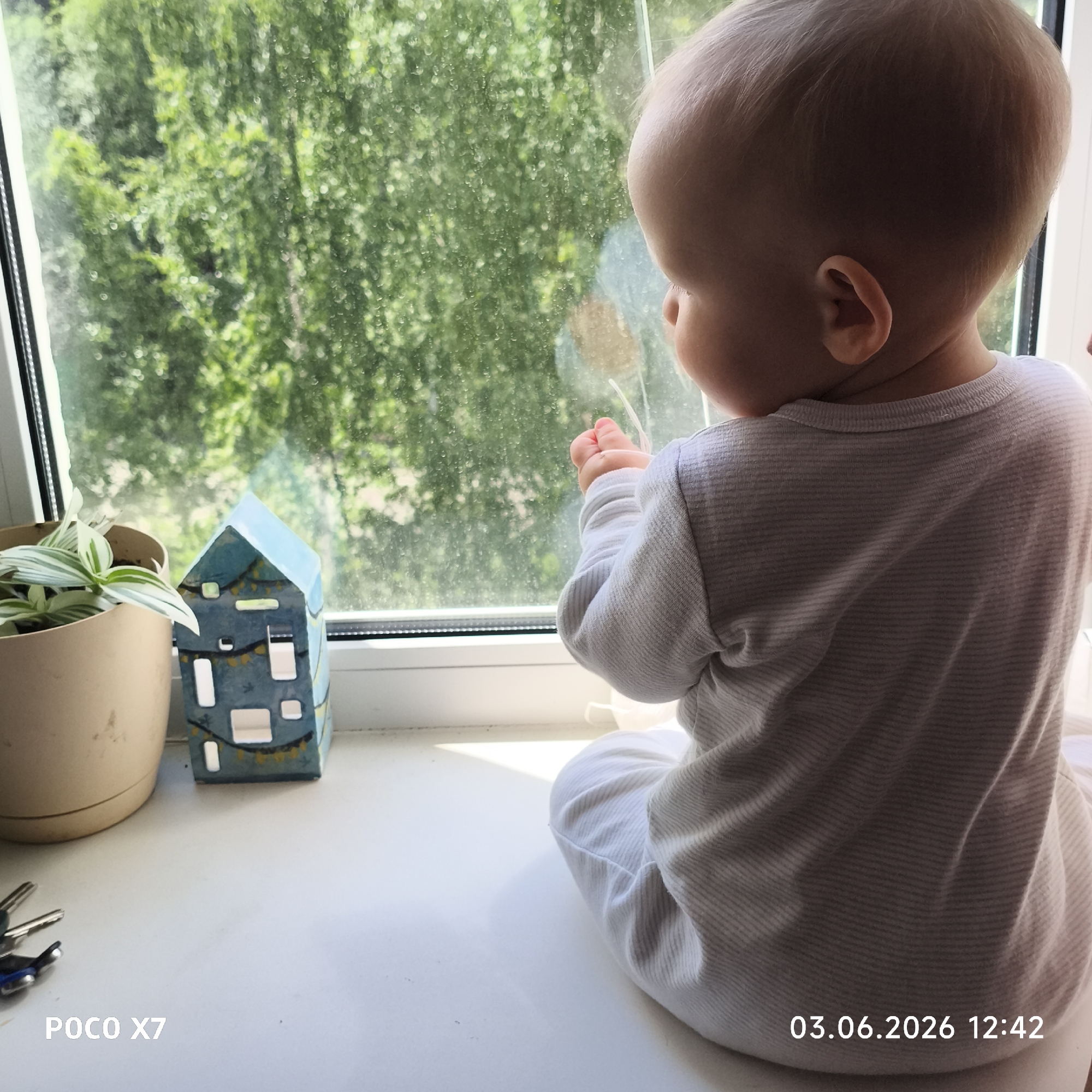 An infant is seen from behind, sitting on a white window sill and looking out through a window at green foliage. The baby is wearing a light-colored, subtly striped long-sleeved top and pants, with their hands clasped together near the windowpane. To the left on the window sill, there is a small potted plant with white and green variegated leaves, a decorative blue ceramic house with cut-out windows, and a set of keys. The view outside shows dense, blurry green trees or bushes, suggesting a natural outdoor setting. The window glass appears to have numerous small droplets or smudges on its surface. The lighting is bright, indicating daytime. Visible text in the lower left corner reads "POCO X7," and in the lower right corner, a timestamp displays "03.06.2026 12:42."