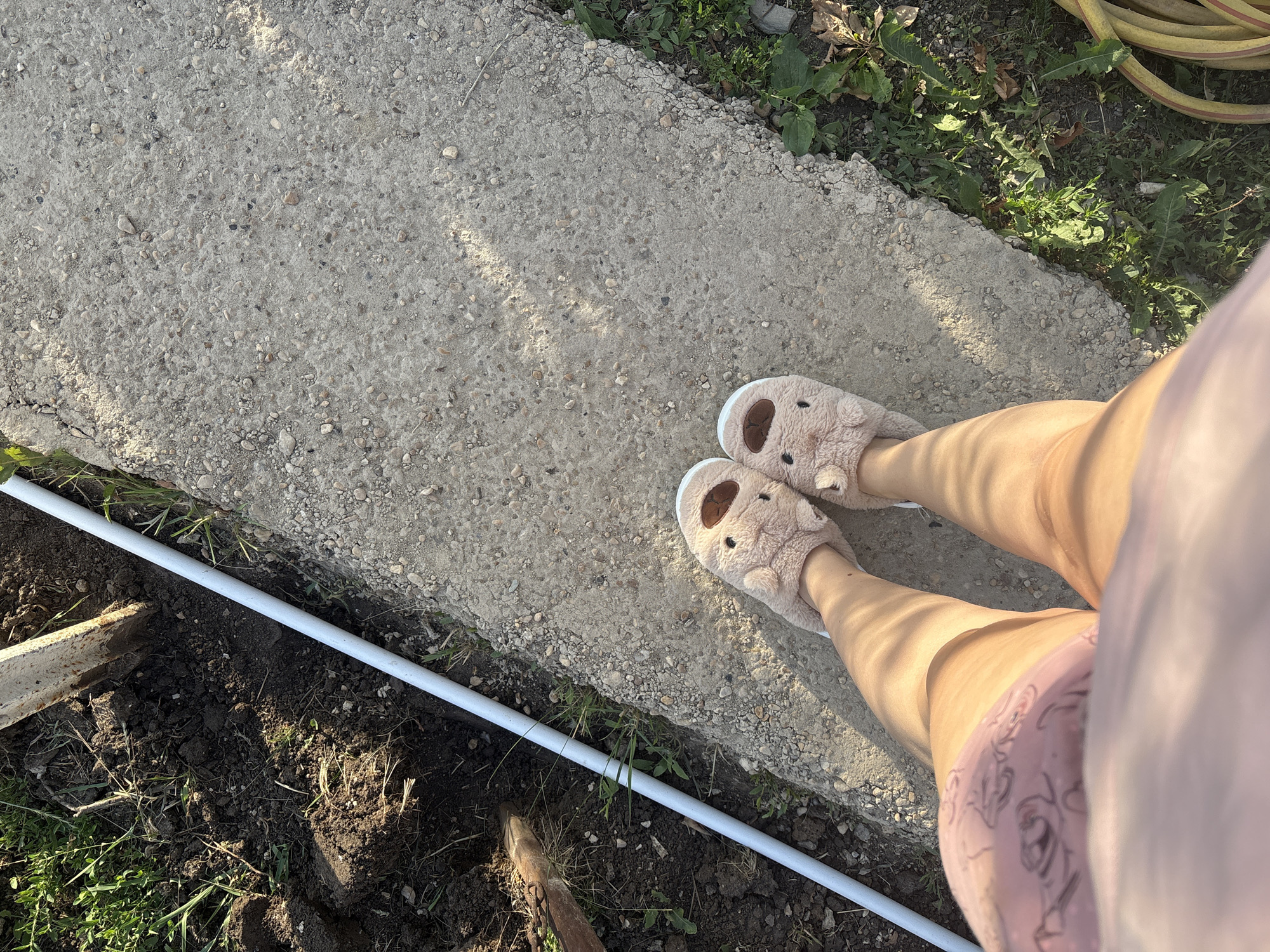 This is a top-down, close-up shot of a person's legs and feet, wearing fluffy light brown slippers with bear-like features and pink shorts. The person is standing on a concrete path. To the left of the path, there is disturbed dark soil with some green grass and a metal object. A white pipe runs along the edge of the path and the soil. To the right of the path, there is more green grass and a yellow hose coiled on the ground. The scene appears to be outdoors, in what might be a garden or yard area, possibly in the city of Sovkhoza "Razdol'e", Russia. The lighting suggests it is daytime, with sunlight casting shadows on the concrete.