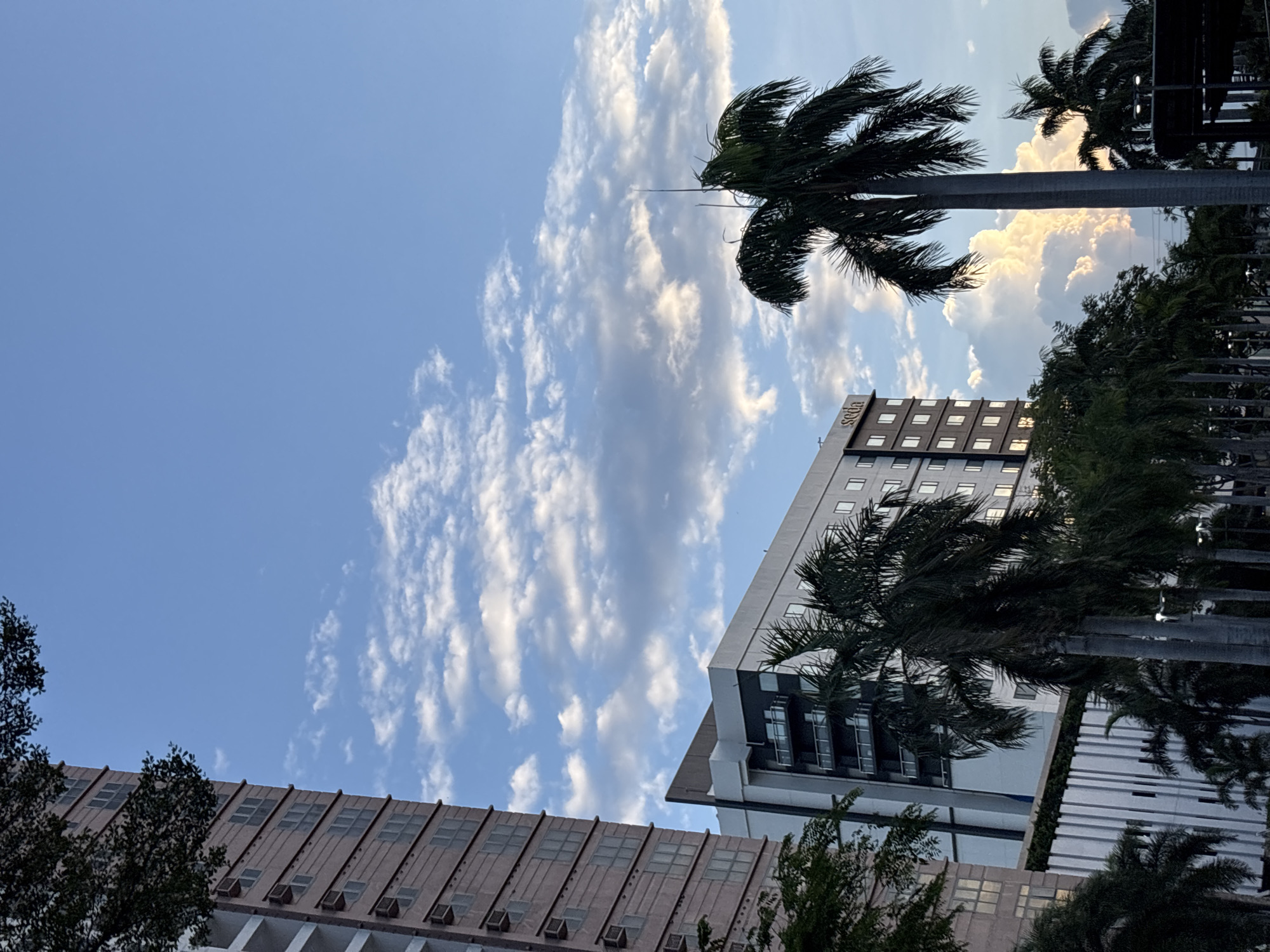 This image depicts an urban scene in Davao City, Philippines, captured during daylight. The foreground is dominated by several tall palm trees with dense fronds, their trunks weathered and gray. Behind them, two modern buildings rise into the frame. The building on the left is taller and appears to be a residential or office tower, clad in a pale rose-colored material with rows of windows. To its right, a shorter building features a facade of white and dark gray panels, with balconies visible on its upper floors. The word "seda" is visible on the upper portion of this building, suggesting it is a hotel. The background is a vibrant blue sky filled with scattered white clouds, some of which are illuminated with a soft, golden light, indicating the time of day may be late afternoon or early morning. The overall impression is one of a tropical city environment with a blend of nature and contemporary architecture.