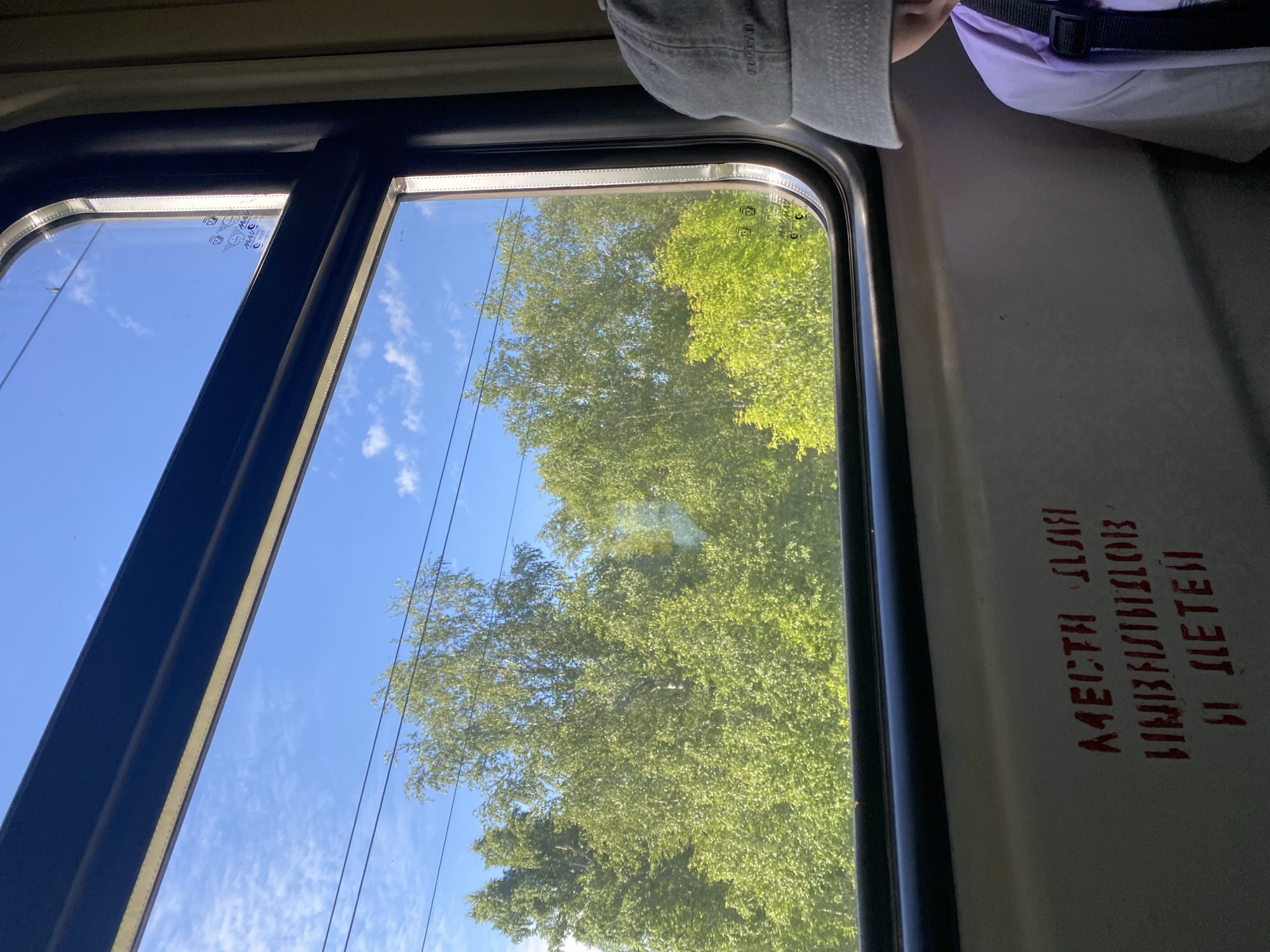 The image presents a view from the interior of a public transport vehicle, likely a train, looking out a window on a clear, sunny day in Красная Поляна, Russia. Outside, a vivid blue sky with scattered white clouds dominates the upper portion of the frame, intersected by multiple horizontal overhead power lines. Below the sky, a dense forest of lush green deciduous trees, including what appear to be birches, fills the landscape. The interior features a dark window frame with a lighter, possibly off-white, inner trim. The upper right corner of the window glass contains faint, translucent markings, including a stylized winged emblem and an accessibility symbol. To the right of the window, a person is partially visible, wearing a light purple shirt and a grey baseball cap with a dark strap across their shoulder. Below the window, on the light-colored interior wall, red stenciled Cyrillic text reads "МЕСТА ДЛЯ ИНВАЛИДОВ И ДЕТЕЙ," translating to "PLACES FOR DISABLED PERSONS AND CHILDREN."