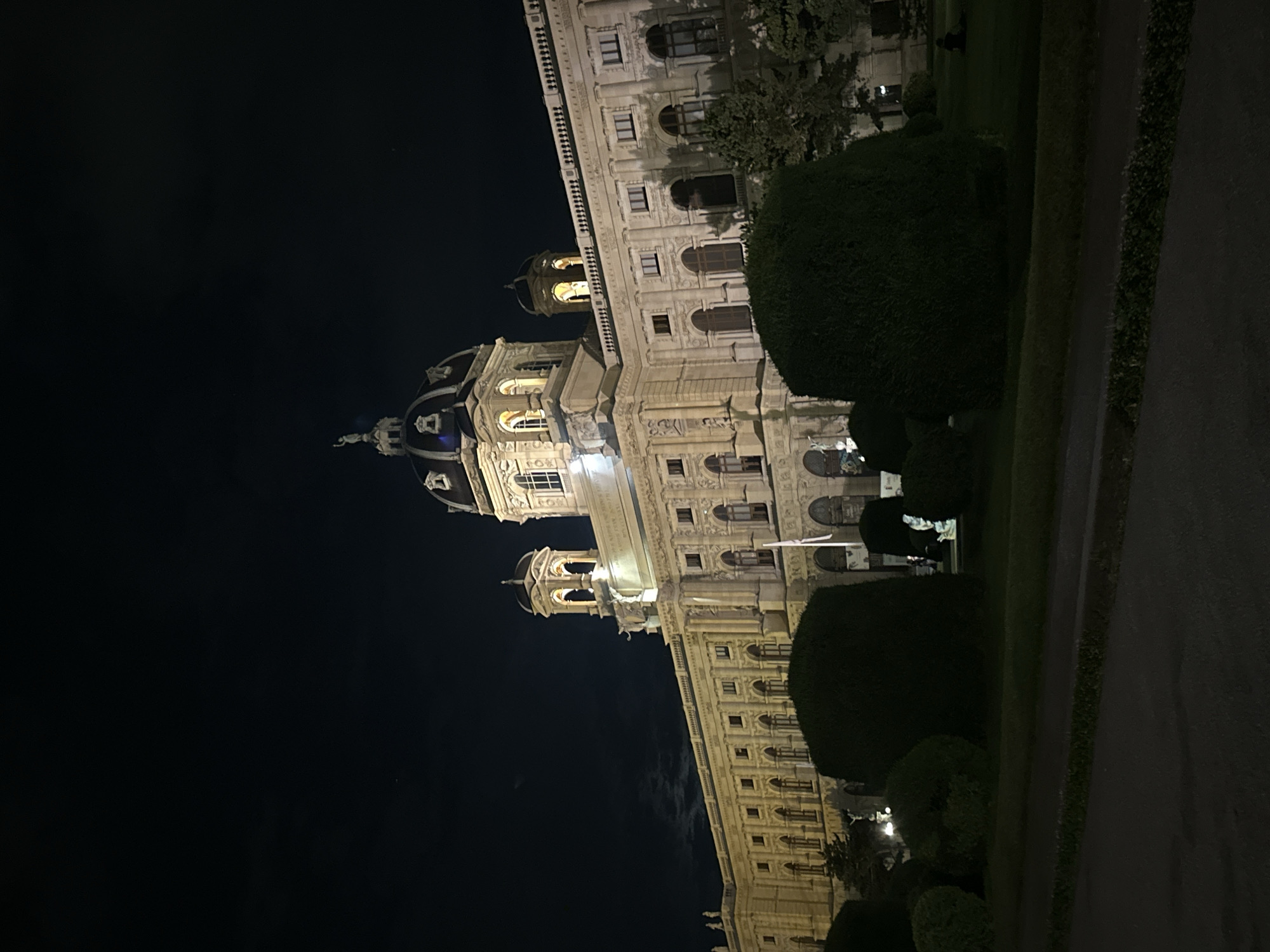 This is a nighttime, wide-angle, low-light exterior shot of the Naturhistorisches Museum (Natural History Museum) in Vienna, Austria, viewed from across a park. The imposing, ornate building, constructed of light-colored stone, is illuminated, highlighting its grand architecture, including multiple arched windows, decorative columns, and a large central dome topped with a sculpture. Smaller domes and turrets are also visible. In the foreground, several large, dark green, sculpted bushes dominate the scene, with manicured grass areas and trees further back. The sky is dark, with a faint suggestion of clouds or a moon. There are no visible people actively engaged in any actions. The overall impression is one of architectural grandeur and stillness under the night sky.