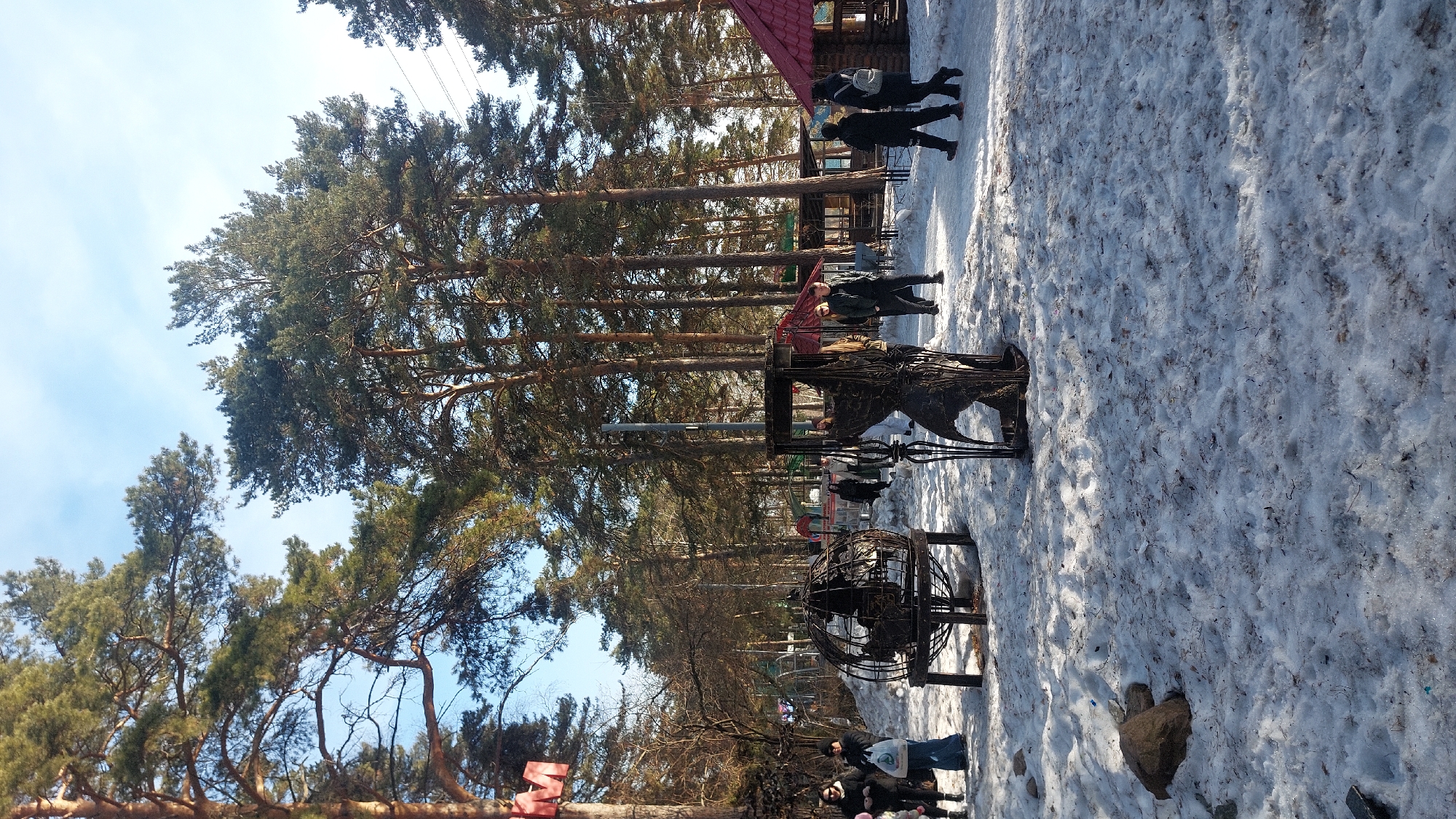 The image depicts a winter scene in Novosibirsk, Russia. A snowy landscape is visible, with tall pine trees lining the area. Metal sculptures, including a globe-shaped structure and a deer-like figure, stand on the snow-covered ground. People are walking in the background, near a building with a red roof. Power lines are strung among the trees. The sky is light blue.