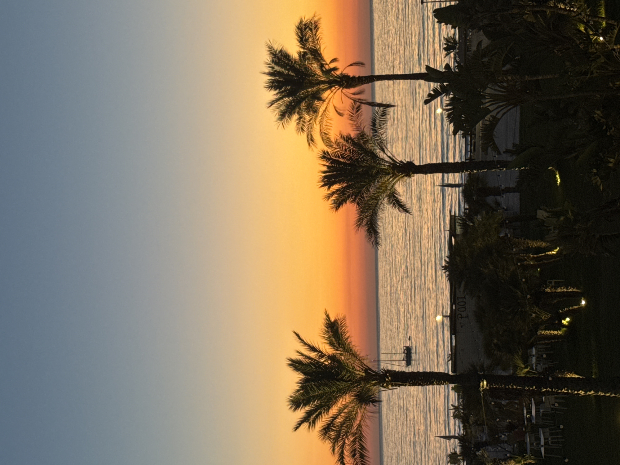 The image captures a tranquil sunset over the sea in Isola delle Femmine, Italy. The sky transitions from a soft blue at the top to a vibrant orange and yellow gradient near the horizon. Three silhouetted palm trees stand prominently in the foreground, their fronds reaching towards the sky. In the middle ground, the calm sea reflects the warm hues of the sunset. A small sailboat is visible on the water. The background shows a beach with a building that has "POOL" written on it, suggesting a resort or leisure area. Various tropical plants and some outdoor seating areas are visible in the foreground, illuminated by soft, warm lights, hinting at an evening setting. The overall atmosphere is serene and picturesque.