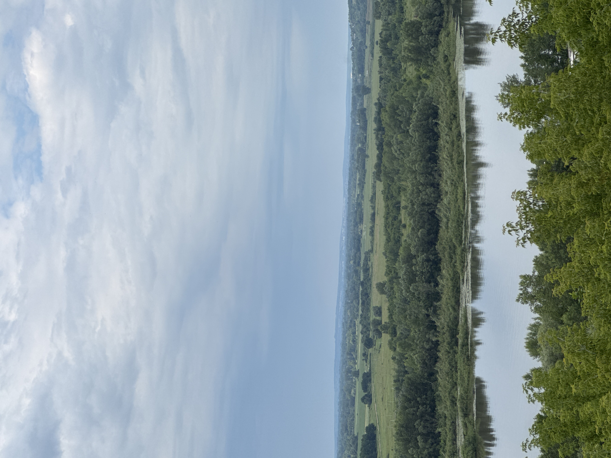 This is a high-angle, full shot of a wide, calm river reflecting a cloudy, overcast sky. The foreground is dominated by the lush green tops of trees. Beyond the river, a dense forest stretches across the landscape, giving way to fields and more distant, rolling hills. The sky is filled with layers of pale, diffused clouds, with hints of blue visible in some areas. In the far distance, a faint outline of buildings suggests a settlement. The overall impression is one of serene, natural beauty. The location is likely a vantage point overlooking the Belaya River in Ufa, Russia, given its characteristic wide, calm flow and the surrounding terrain.