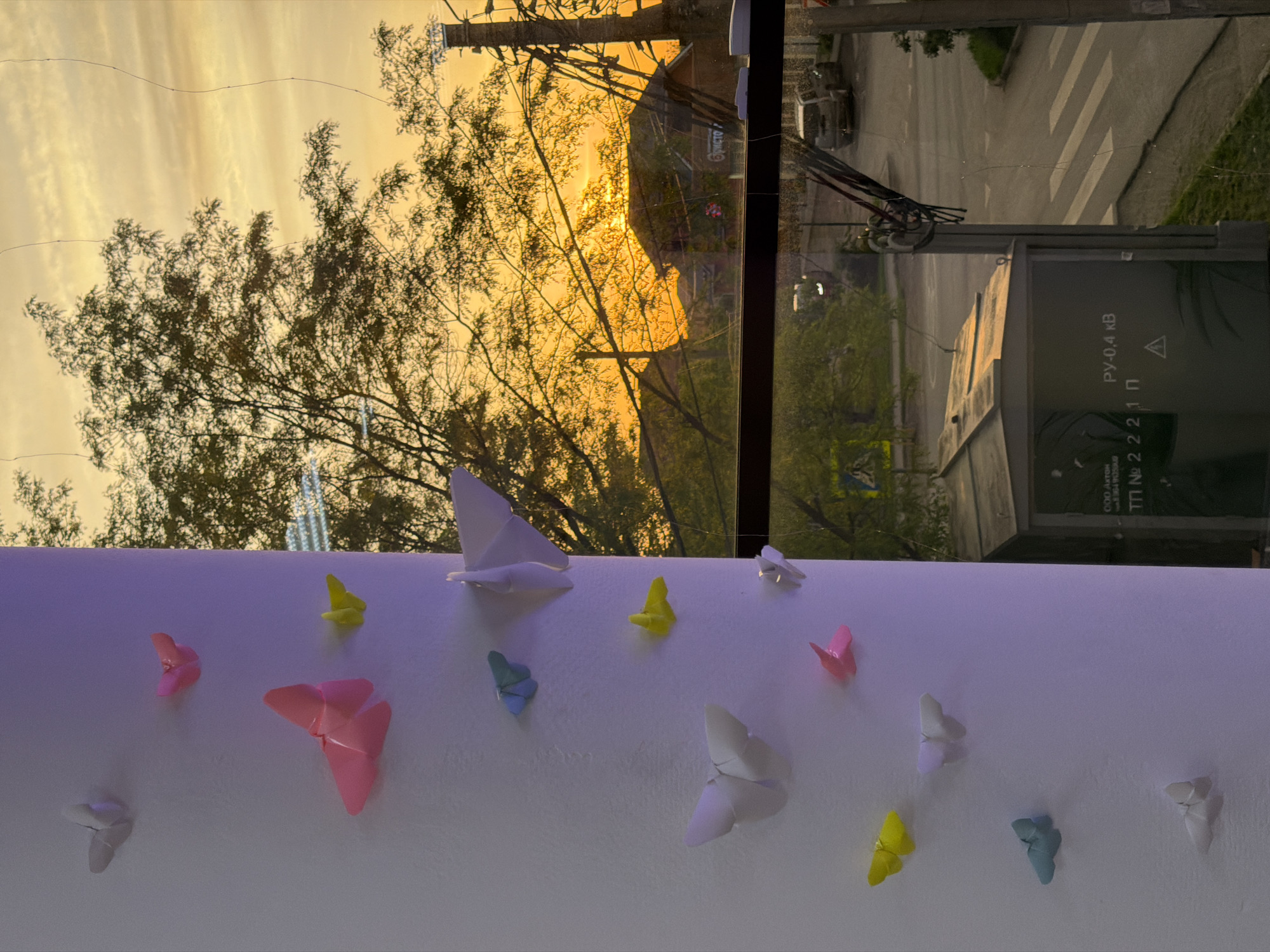 The photograph captures a scene combining an interior view with a cityscape seen through a window, likely taken in or near Rossiyskiy, Russia, based on text visible in the window. The foreground features a white surface adorned with origami butterflies of various colors, including pink, yellow, blue, and white.
Beyond the white surface, a window frames a view of an urban landscape during what appears to be sunset or sunrise, given the golden light illuminating the scene. A tree with bare branches is silhouetted against the sky. Buildings and electrical infrastructure are visible in the background, along with a street scene featuring vehicles and a pedestrian crossing.
Text in Russian is visible on a box near the window, indicating it is part of the electrical infrastructure, likely a transformer. The setting is a combination of a decorated interior with a view onto a residential or commercial street.