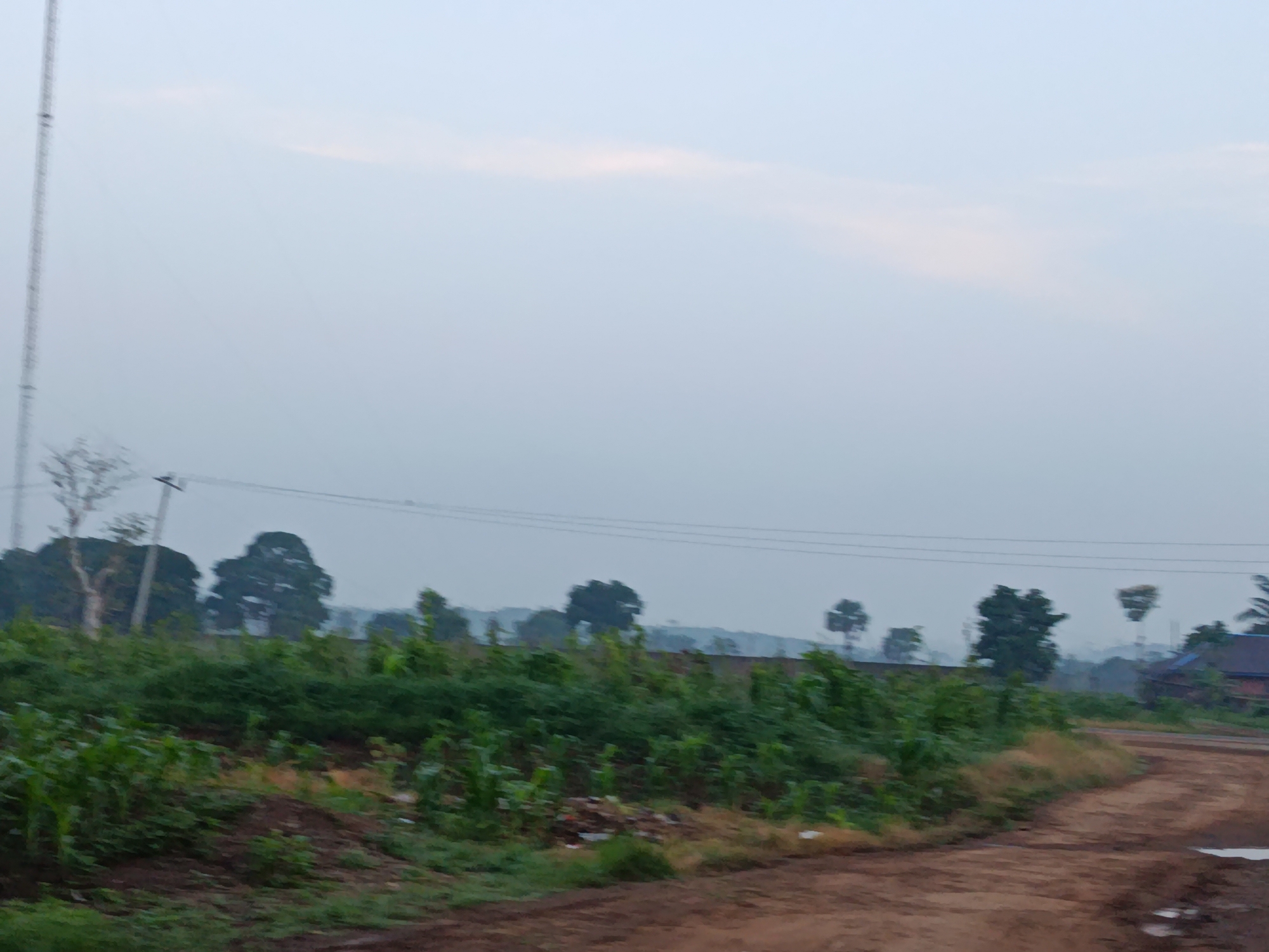 The image depicts an outdoor scene, likely in the city of Maigizo, Nigeria, characterized by a hazy, overcast sky. In the foreground, a dirt road curves from the right side of the frame into the middle ground. To the left of the road, a lush green area is covered in dense vegetation, including what appears to be corn stalks in the immediate left foreground. Beyond this vegetation, a line of trees, some appearing sparse and others full, stretches across the landscape. In the far distance, a few buildings with dark roofs are visible, partially obscured by the haze and vegetation. A tall, thin tower, possibly a radio or transmission tower, stands prominently on the far left side of the image. The overall impression is that of a rural or semi-rural area under a diffused light, suggesting either early morning or late afternoon. There are no people or animals visible in the image. The environment appears calm and undeveloped, with the presence of agricultural elements and infrastructure like the tower.