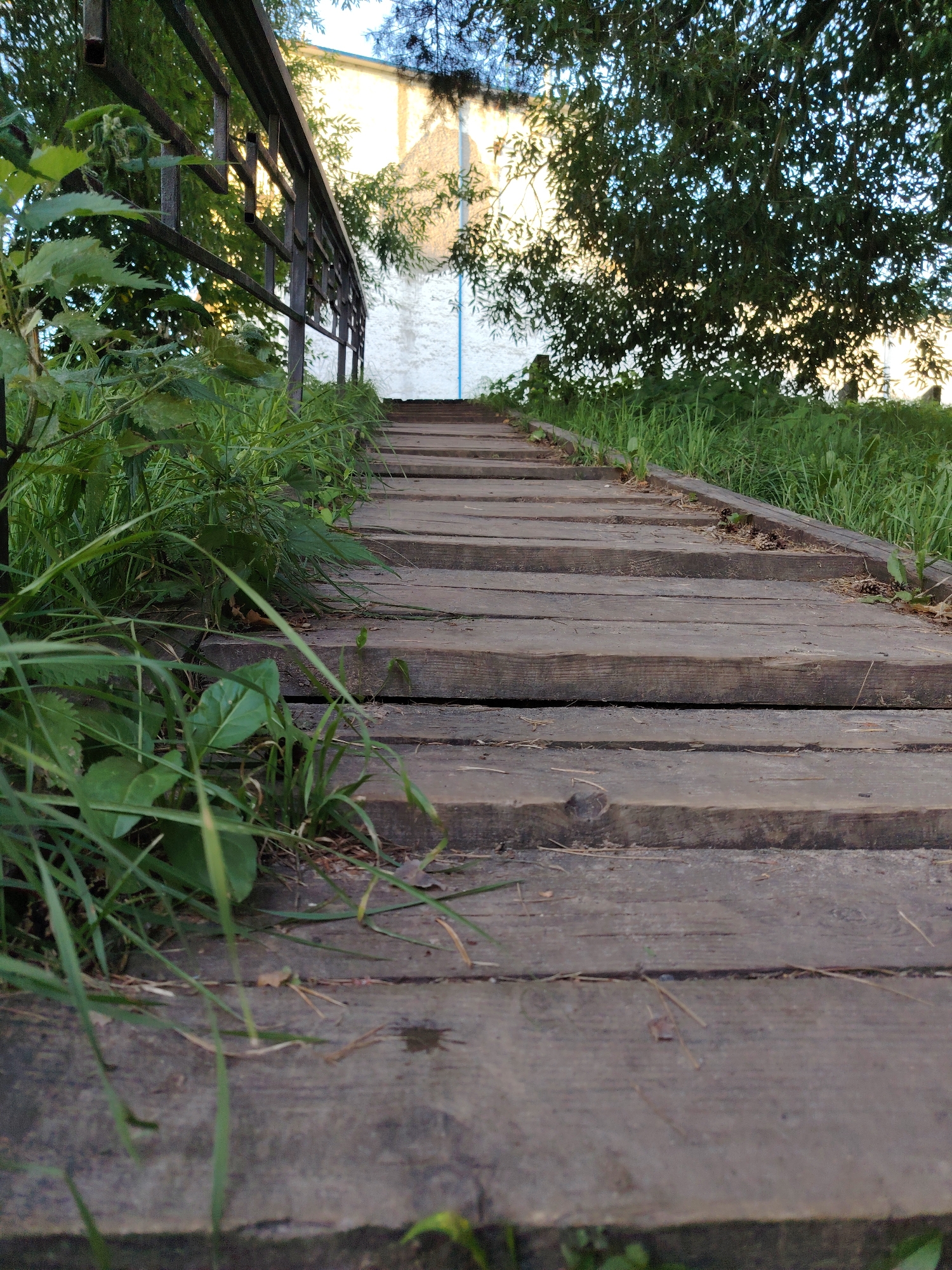 An outdoor, low-angle, wide shot features a weathered wooden walkway with visible grain and texture, leading upwards. The walkway is flanked by lush green grass and foliage on both sides. A metal railing is visible on the left, partially obscured by leaves. In the background, a light-colored building with a white facade and blue trim stands beneath the dappled shade of a large green tree. The image appears to be taken in a park or natural area within the city of Konakovo, Russia, possibly during daylight hours given the sunlight filtering through the trees. No people are present in the frame.