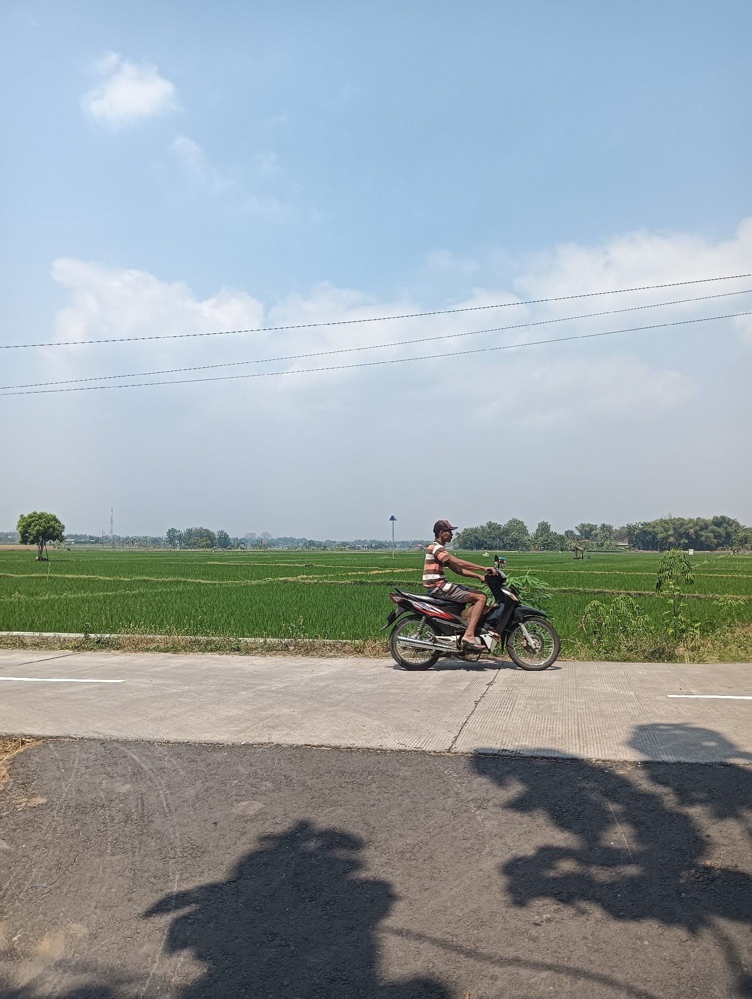In Gesi, Indonesia, a person rides a black motorcycle on a paved road. The rider, wearing a striped shirt and a cap, is positioned on the right side of the frame, facing left. The road borders a lush green rice paddy field, stretching towards the horizon. The sky above is a clear blue with scattered white clouds. Power lines are visible horizontally across the upper portion of the image. In the foreground, shadows of trees are cast upon the asphalt.
