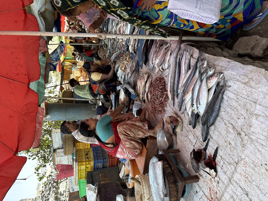 This image depicts an outdoor fish market scene in Ulhasnagar, India, under bright daylight. The ground is covered by a stained white tarpaulin displaying a large quantity of fresh fish.
The market operates beneath large parasols, prominently featuring a red one in the upper frame. In the center-left, a barefoot woman, dressed in a teal top and a patterned red and brown garment, squats on a low wooden stool. She is actively cleaning fish, holding a small metal bowl in her left hand, with a wooden chopping board and a large fish fillet nearby. Immediately in front of her, a pile of reddish fish entrails, scraps, and several severed fish heads, displaying red tissue and blood, are directly on the tarpaulin. Numerous whole fish of varying species and sizes are laid out across the tarpaulin.
Behind the squatting woman, a man sits on a low platform, wearing a light plaid shirt and observing the scene. To his right, another woman, in a yellow top and a patterned red and yellow saree, also squats, engaged in arranging the fish display.
In the foreground on the right, a partially visible individual wears a vibrant, multi-colored patterned garment, predominantly blue, green, and yellow, and blue sandals. They are holding a white plastic shopping bag with "WAMANA" printed on it. The background reveals stacked plastic crates in red, yellow, green, and blue, woven baskets, a concrete pillar, and distant buildings under a clear sky.