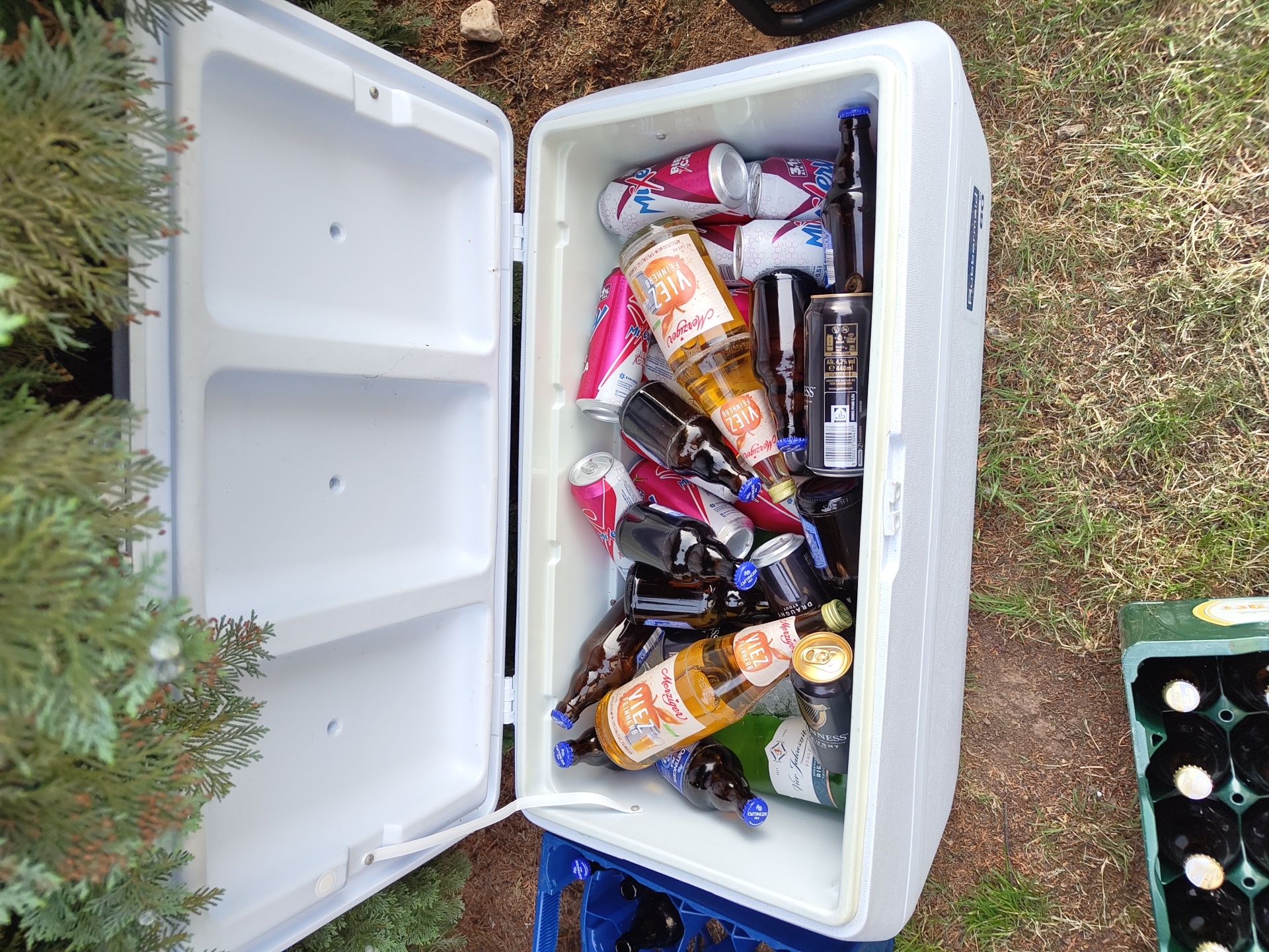 The image shows a white cooler filled with assorted alcoholic beverages, including bottles and cans. Brands visible include "Merziger Viez," "Guinness," and "Mixery." The cooler is open, with its lid leaning against some greenery on the left side of the frame. The cooler sits atop a blue plastic crate. To the right of the cooler, on the grass, is a green crate filled with dark-colored bottles, seemingly beer. The background consists of grass, dirt, and a few rocks. The scene is outdoors. Considering the "Merziger Viez" brand's origin, it is likely the location is in the vicinity of Schmelz, Germany.