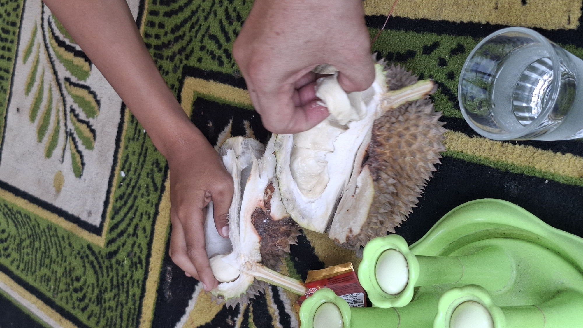 Two people are interacting with a cut durian fruit, which is resting on a patterned rug. One person's hand is visible near the top of the frame, reaching towards the durian. The other person's hand, in the foreground, is actively pulling a segment of the durian out of its casing. The durian is split open, revealing its creamy white flesh. To the left of the durian, there are some bright green plastic objects with circular white tops, and a golden packet is partially visible. In the lower right corner, a clear glass of water sits on the rug. The rug has a distinctive green, black, and yellow pattern. The scene appears to be outdoors, possibly in a residential area in Cilaku, Indonesia, given the context.