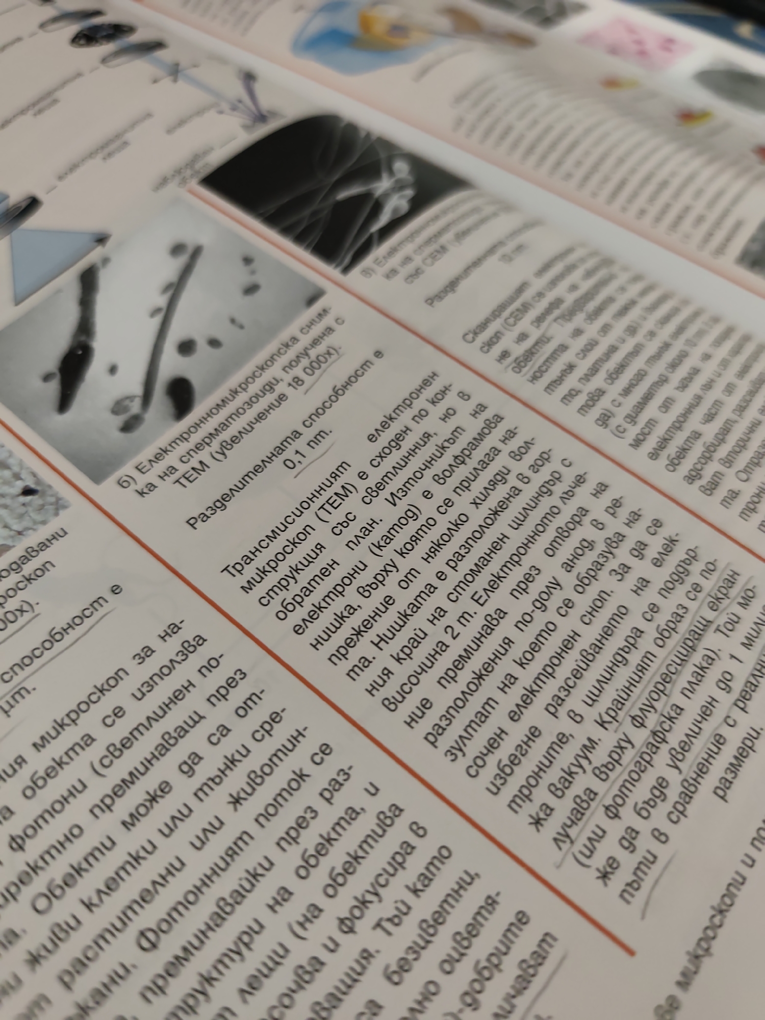 An open scientific textbook, written in Bulgarian, is displayed from an overhead, slightly angled perspective. The visible page features a prominent black and white electron micrograph depicting spermatozoa, identified by the accompanying text as an image obtained with a Transmission Electron Microscope (TEM) at 18,000x magnification. Below the image, text indicates a resolution of 0.1 nm. The surrounding paragraphs provide detailed descriptions of both Transmission Electron Microscopes (TEM) and Scanning Electron Microscopes (SEM), discussing their principles, components, and functionalities. The pages exhibit minor creasing consistent with an opened book. No individuals are visible in the scene. This indoor scene is located in Pazardzhik, Bulgaria.
