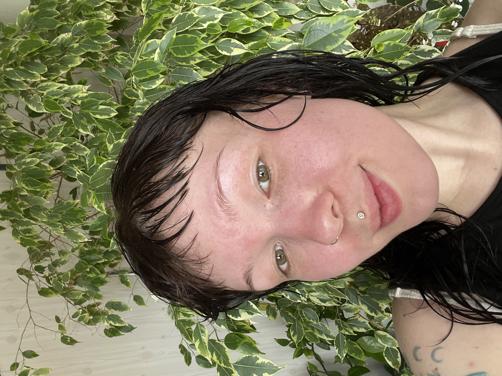 This close-up portrait features a person with dark, visibly wet hair, looking directly at the camera with a slight, closed-mouth smile. Their head is tilted, providing an upward-angled view of their face. The person has light-colored eyes and their skin appears somewhat flushed on the cheeks and forehead.
Prominent facial details include a shiny stud piercing on the philtrum (commonly known as a medusa piercing) and a silver ring piercing adorning the left nostril. The wet appearance of the hair, with strands clinging to the forehead and temples, suggests it has recently been washed or exposed to water.
The background is dominated by lush foliage, consisting of a large plant with variegated leaves in shades of green and pale yellow or white. This dense greenery creates a vibrant, natural setting, likely indicating an indoor houseplant arrangement. A glimpse of a light-colored wall or surface is visible through the leaves in places.
Towards the bottom right of the image, a part of the person's arm is visible, featuring several crescent moon-shaped tattoos. They are wearing a dark top, with a strap visible on the right side. The lighting appears bright and even, consistent with natural daylight. The overall mood conveyed is relaxed and content. The setting is Zhigalki, Russia. No text is visible in the image.