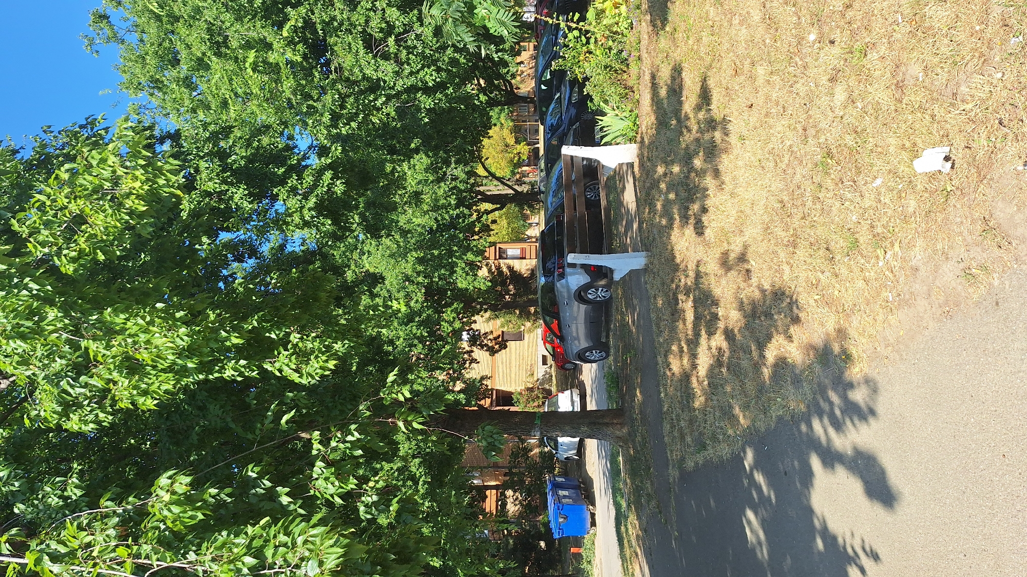 The image depicts a sunny outdoor scene in the city of Sombor, Serbia, characterized by lush green trees casting shadows on a paved walkway and dry, sun-baked grass. In the background, apartment buildings with orange-brown facades are visible. A row of parked cars lines the area, with a silver SUV prominently featured in the foreground. To the left, two large blue recycling bins are situated near the apartment buildings. The overall impression is that of a residential area on a bright, warm day.