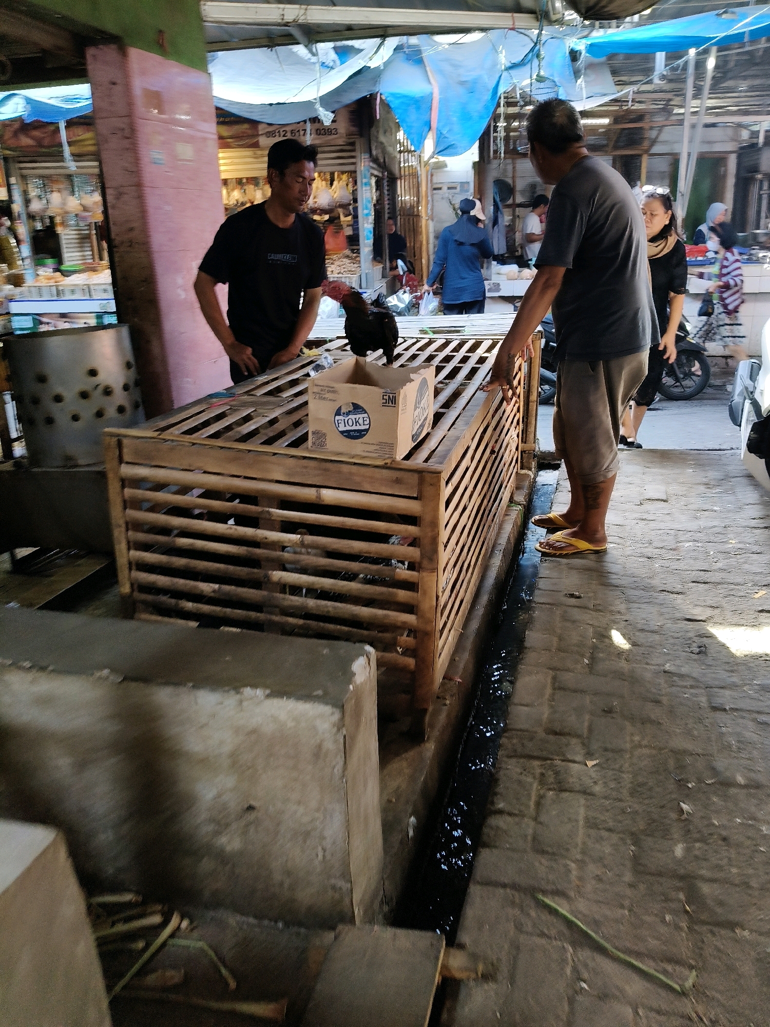In Setiamekar, Indonesia, a bustling outdoor market scene unfolds, captured on a sunny day. In the foreground, a rooster stands atop a large, wooden cage constructed from horizontal slats. The cage is positioned on a paved walkway, adjacent to a shallow, dark drainage ditch. To the left of the cage, a cylindrical metal object with numerous small holes is visible.
Two men are engaged in conversation near the cage. The man on the left, wearing a black t-shirt and dark pants, faces the rooster. The man on the right, in a gray t-shirt and khaki shorts, leans on the cage, his right hand resting on its top. He wears yellow flip-flops.
In the background, the market is characterized by a canopy of blue and white tarps, providing shade over various stalls displaying goods. Several other individuals are present, including a woman in a dark top and scarf, standing behind the man on the right, and other market-goers further in the distance. A motorcycle is parked to the right. The overall environment suggests a lively and active marketplace.