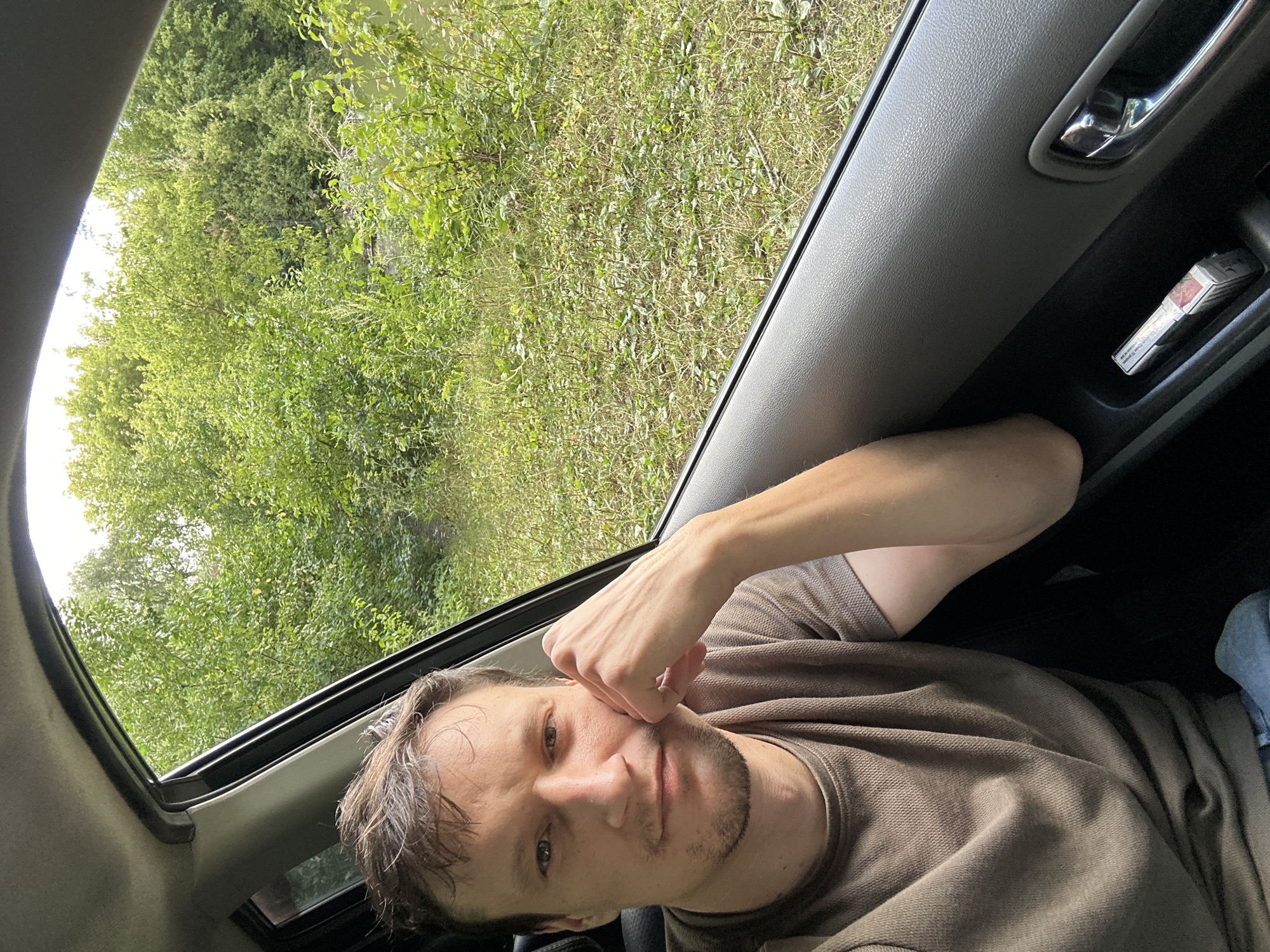 A man with short brown hair and a beard sits in the passenger seat of a car, leaning his head on his hand. He is wearing a brown t-shirt. Through the open car window, a lush green landscape with trees and foliage is visible. The interior of the car shows a gray door panel with a cigarette pack in a storage compartment. The scene appears to be a roadside or natural area.