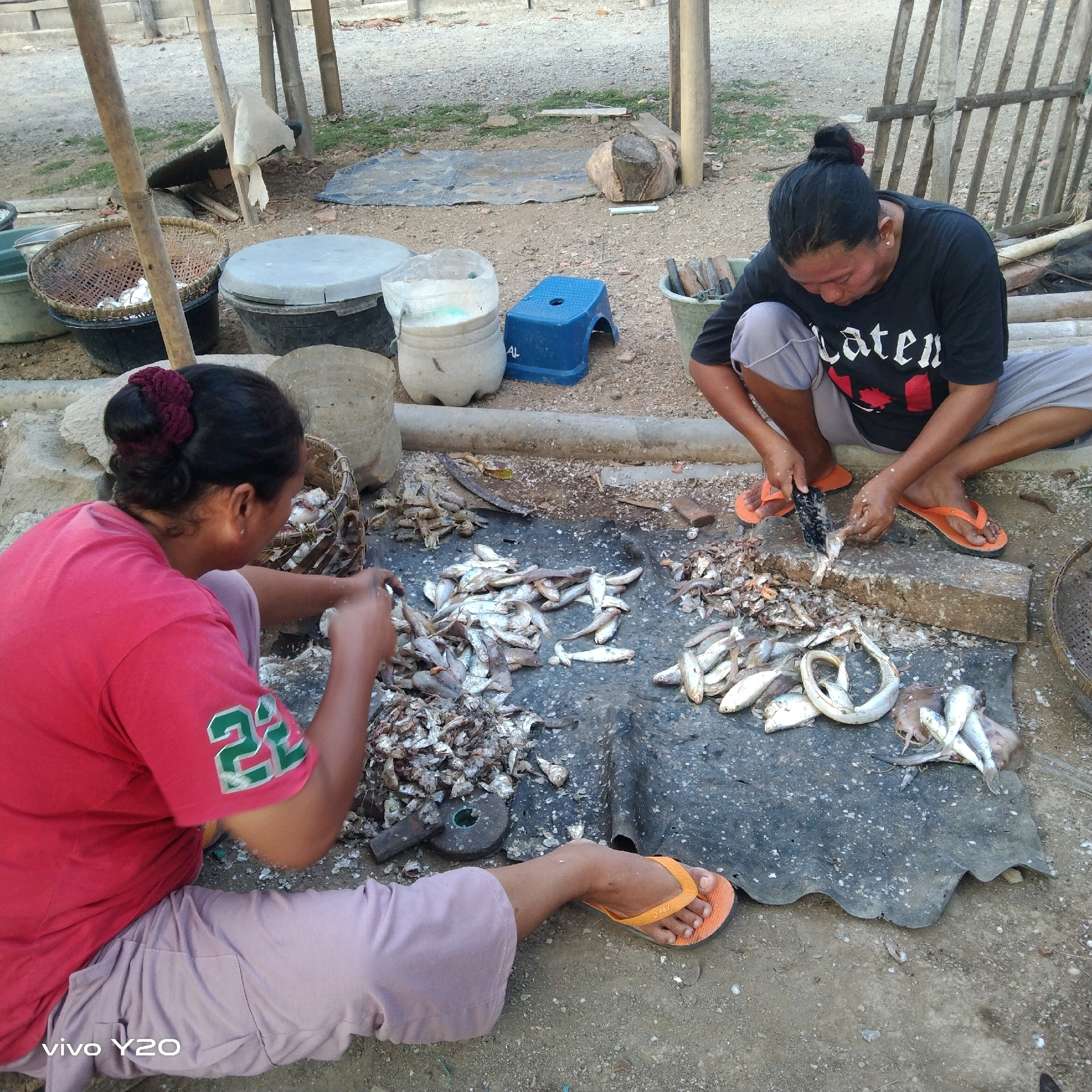 In an outdoor, dusty environment, two women are preparing fish. The woman on the left, wearing a red t-shirt with a green '22' graphic and light purple pants, is seated with her legs extended and appears to be sorting through a pile of small fish in a woven basket. Her hair is pulled back in a bun. The woman on the right is crouched down, wearing a black t-shirt and light grey pants. She is actively cleaning fish with a small knife or tool on a rough, grey mat. Several piles of cleaned and uncleaned fish are visible on the mat, along with some other sea creatures. Various containers, including buckets and a blue stool, are scattered around the area. A wooden fence and bamboo poles are visible in the background, suggesting a rustic or outdoor market setting. The ground is a mixture of dirt and small stones.