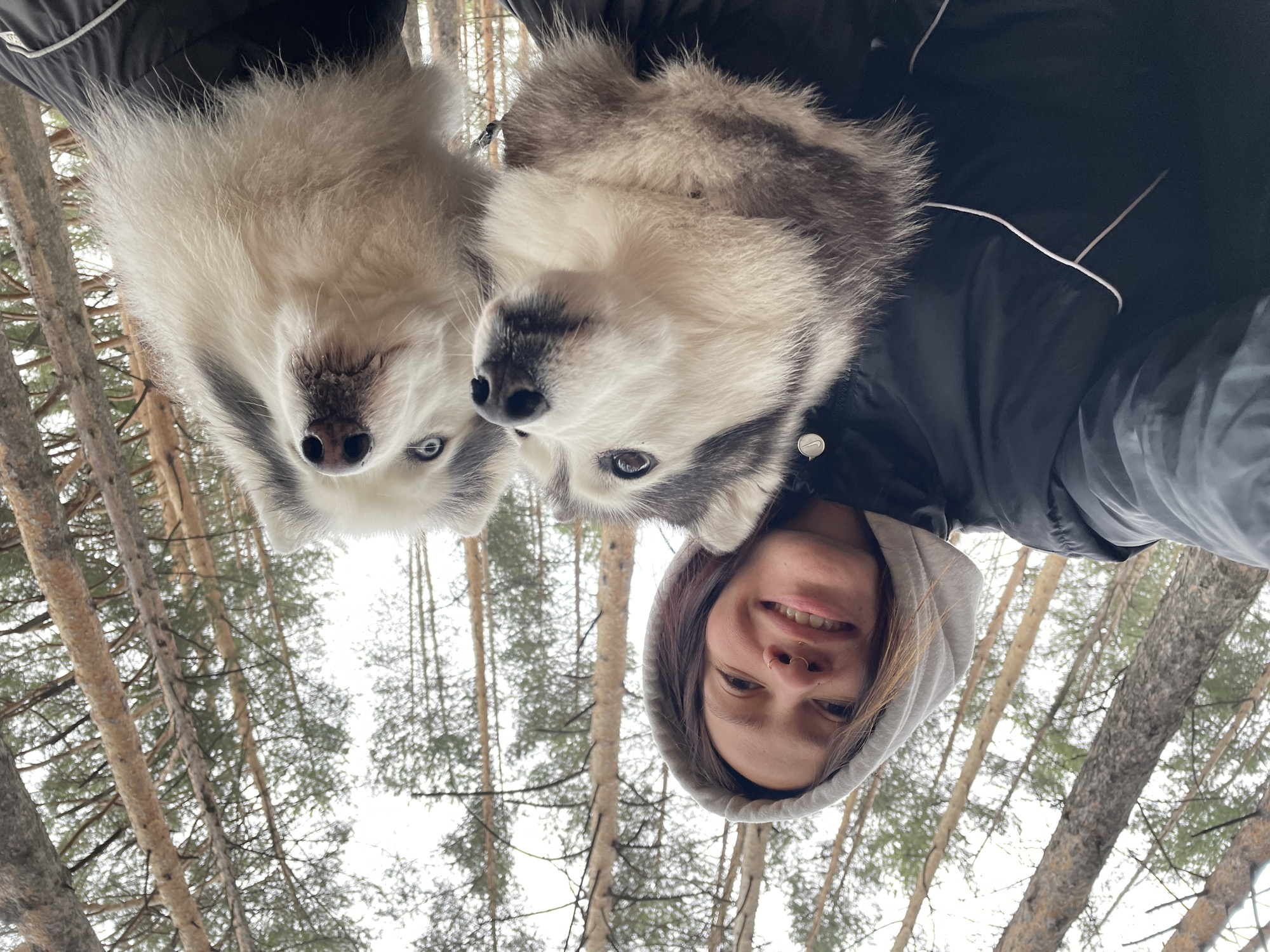 A selfie-style photo presents an upside-down view of a woman and two dogs, likely taken outdoors. The woman is wearing a hooded sweatshirt and a dark jacket with white trim. She is smiling, and her face is clearly visible. The two dogs are positioned above her, presumably held by the woman. The dogs appear to be husky breeds, with light-colored fur and blue eyes. The background consists of a forest scene with tall, thin trees. The sky is overcast. The location is unknown and cannot be confirmed to be in Izhevsk, Russia.