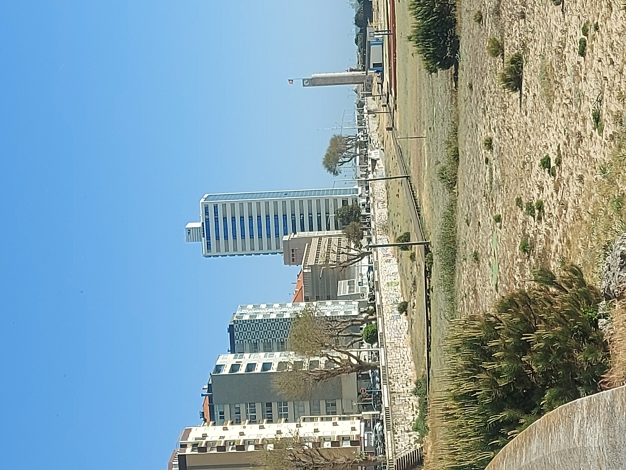 The image, when viewed in its correct landscape orientation, presents a sunlit scene of a coastal or riverine city in Figueira da Foz, Portugal, under a clear blue sky.
On the left side of the frame, an urban landscape unfolds with several multi-story buildings. A prominent, tall, modern white building featuring numerous blue-tinted windows stands out. Other apartment blocks and commercial structures, displaying varied architectural styles and some with balconies, line what appears to be a street or boulevard. Trees with relatively sparse foliage are visible along this urban edge.
Towards the mid-ground, further to the right of the tall white building, a slender, light-colored tower or monument rises, topped with a flag. The flag is distinctly red and green, consistent with the national flag of Portugal. Utility poles or light posts are also scattered throughout this area.
The right side of the image is dominated by a large expanse of dry, light-brown ground covered with sparse, scrubby vegetation and scattered green bushes. A paved path or road runs along the boundary between this open area and the urban development. In the immediate foreground on the right, a prominent plant with long, spiky leaves and light-colored plumes is visible, situated against a low, textured stone wall or embankment.
The weather is bright and clear, indicative of a sunny day, with no clouds in the sky. There are no discernible people or specific activities taking place. No visible text can be identified in the image.