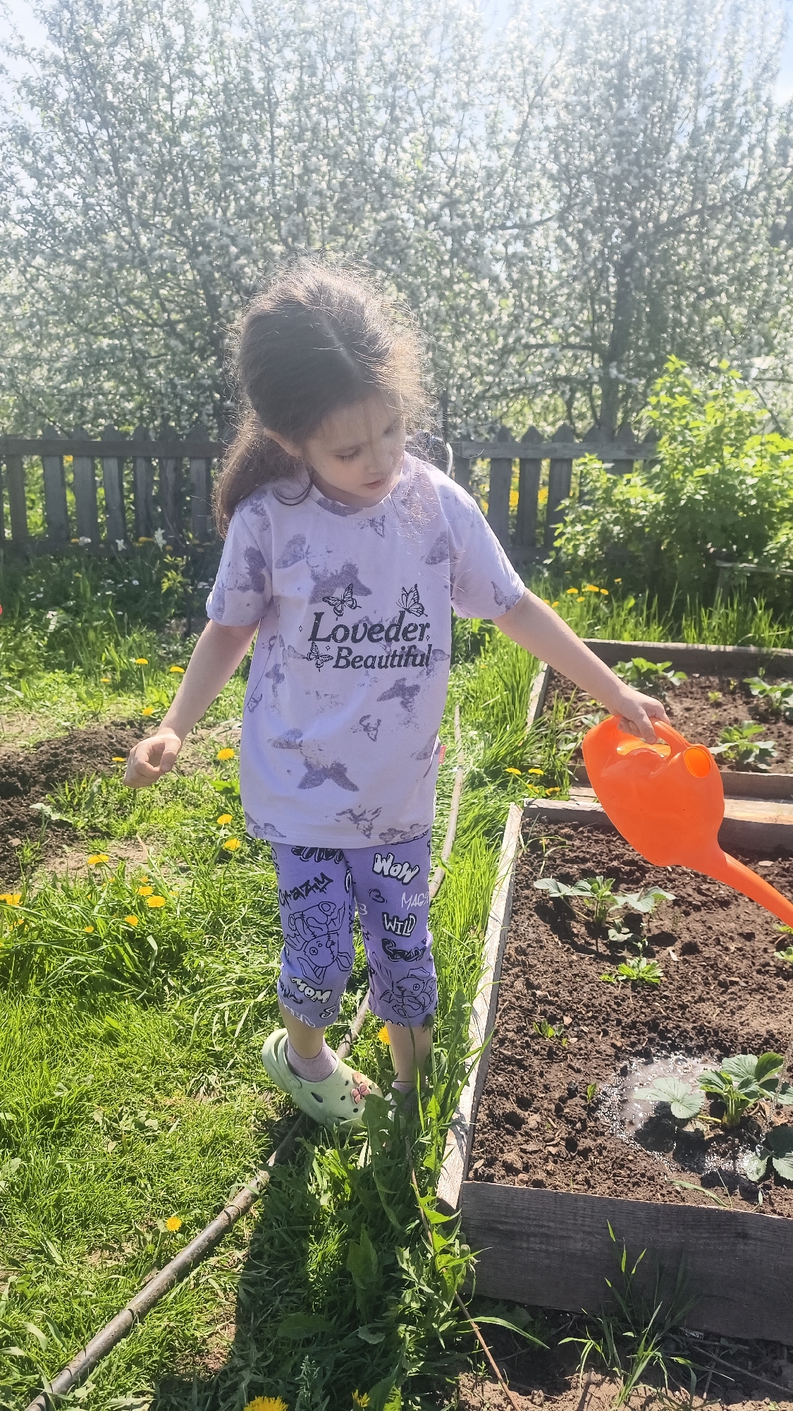 A young girl is watering plants in a garden in Прикамский, Russia. She is wearing a light purple t-shirt with the words "Loveder Beautiful" on it, along with purple patterned leggings and green clogs. She is holding an orange watering can and pouring water on small plants in a raised garden bed made of wood. The garden is surrounded by grass and dandelions. In the background, there is a wooden fence and a tree in full bloom with white flowers. The lighting suggests a sunny day.