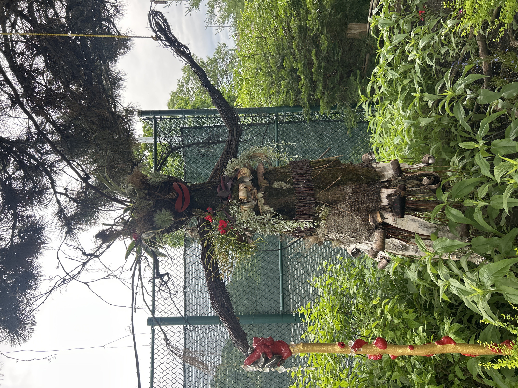 An outdoor, full-shot image captures a whimsical, human-like effigy crafted from natural materials, situated in a garden setting. The effigy, resembling a tree-like figure, is adorned with moss, branches, red lips, and various plant elements, including small red flowers and hanging greenery. Its arms, made of twisted branches, are outstretched, with one hand holding a golden staff topped with a red, sculpted hand and clear, faceted beads. The effigy stands amidst lush green foliage and is backed by a green chain-link fence and a dense backdrop of trees. The sky above is overcast. The scene is located in the city of Mount Royal, Canada.
