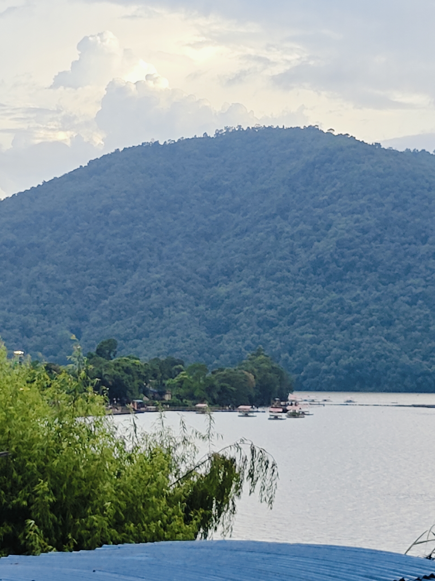 A wide-angle, slightly downward-looking shot shows a serene lake in Pokhara, Nepal, bordered by a lush green mountainside and dense foliage in the foreground. The mountain, covered in thick vegetation, dominates the upper half of the image, its slopes meeting a sky filled with soft, diffused light filtering through scattered clouds. The lake stretches across the middle ground, its calm surface reflecting the subdued light. Several small, flat-topped boats or platforms are visible scattered across the water, hinting at recreational activities. In the immediate foreground, a dense patch of vibrant green bamboo-like plants and weeping willow branches overhang a bright blue, corrugated roof. The overall impression is one of natural beauty and tranquility.