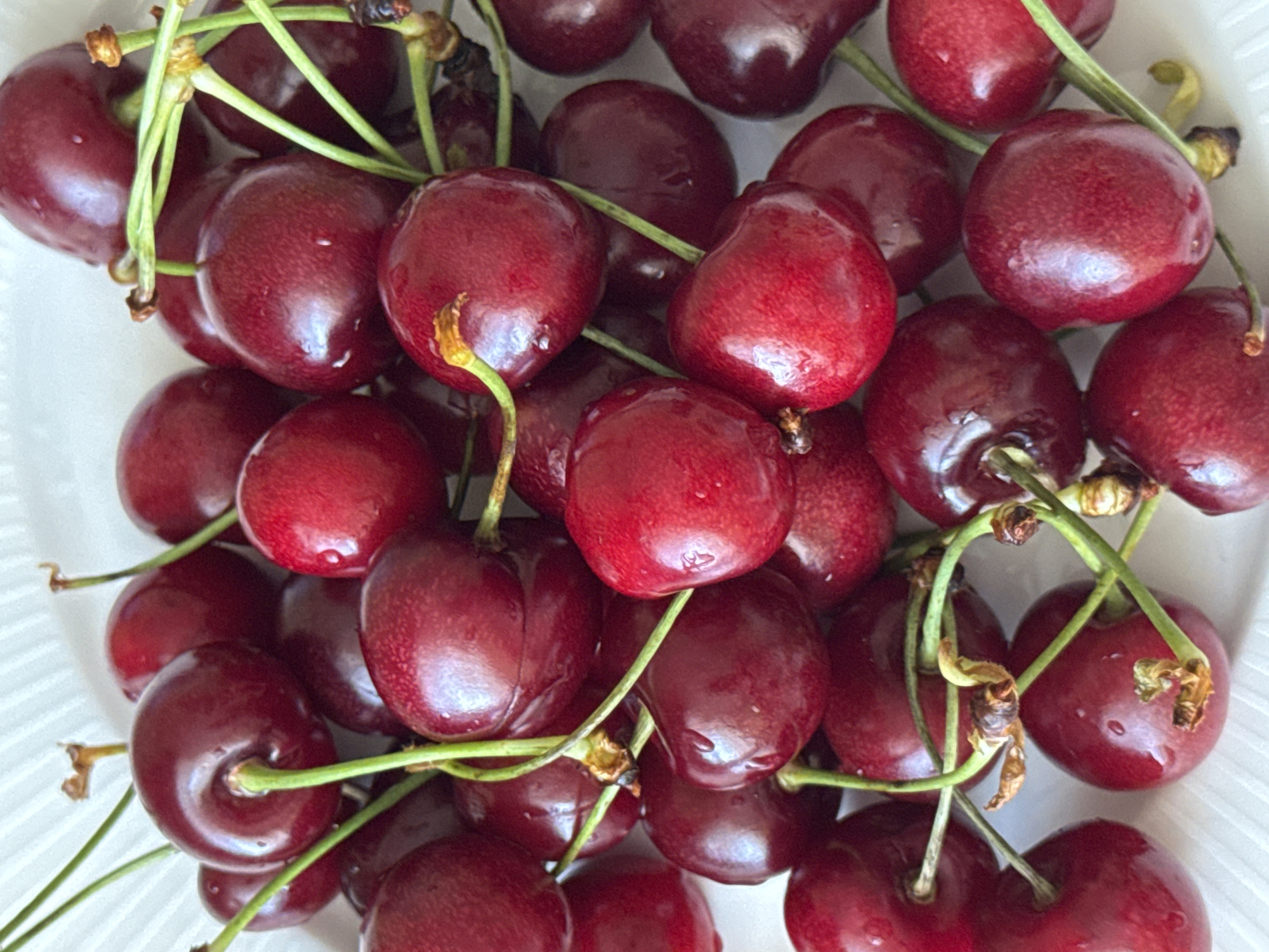 A close-up, top-down shot showcases a generous pile of fresh, dark red cherries, many still attached to their vibrant green stems. Numerous small water droplets are visible on the glossy skin of the cherries, indicating they have been recently washed. The cherries vary slightly in shade, from deep red to a richer burgundy, and their reflective surfaces catch the light. Some of the stems have yellowish-brown dried sections where they were picked. The cherries are densely packed, filling most of the frame, with a soft, light-colored, possibly white, background visible around the edges. No specific activity is depicted beyond the presentation of the fruit. There are no visible location cues within the image itself, but it is provided with the context of Saint Petersburg, Russia. No text is visible.
