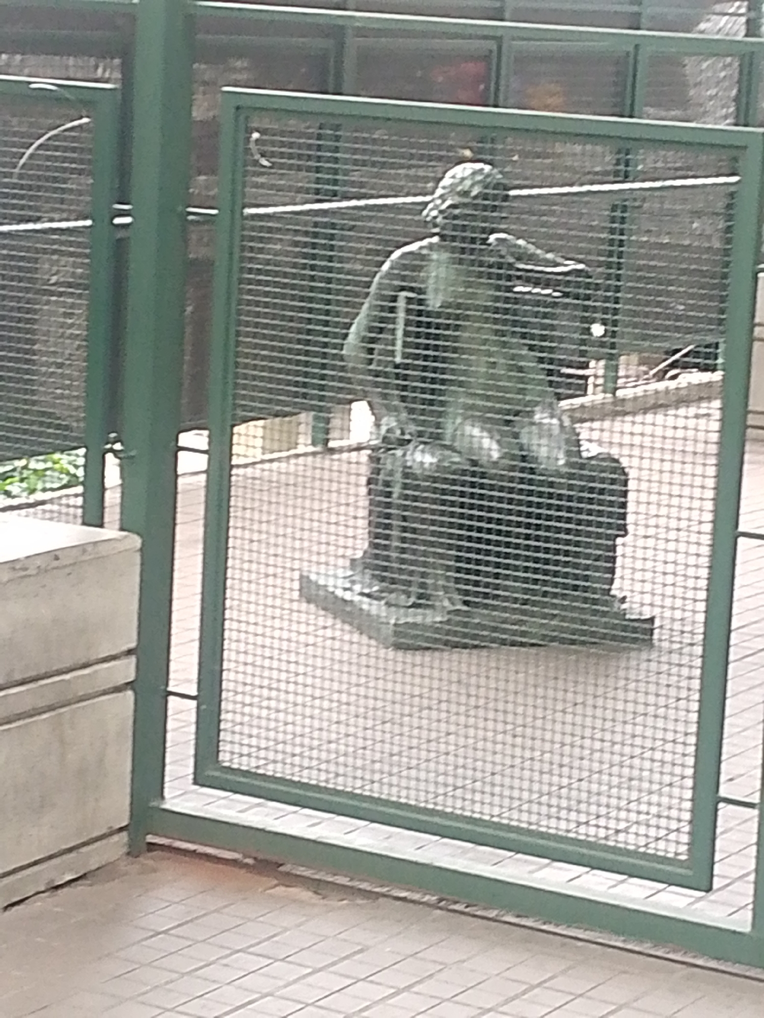 A statue of a seated man is visible through a green metal fence in Caracas, Venezuela. The statue appears to be made of a dark metal or stone, and the man is seated with one arm resting on a support. The ground around the statue and fence is paved with square tiles. A concrete structure is seen on the left of the fence. The scene appears to be outdoors.