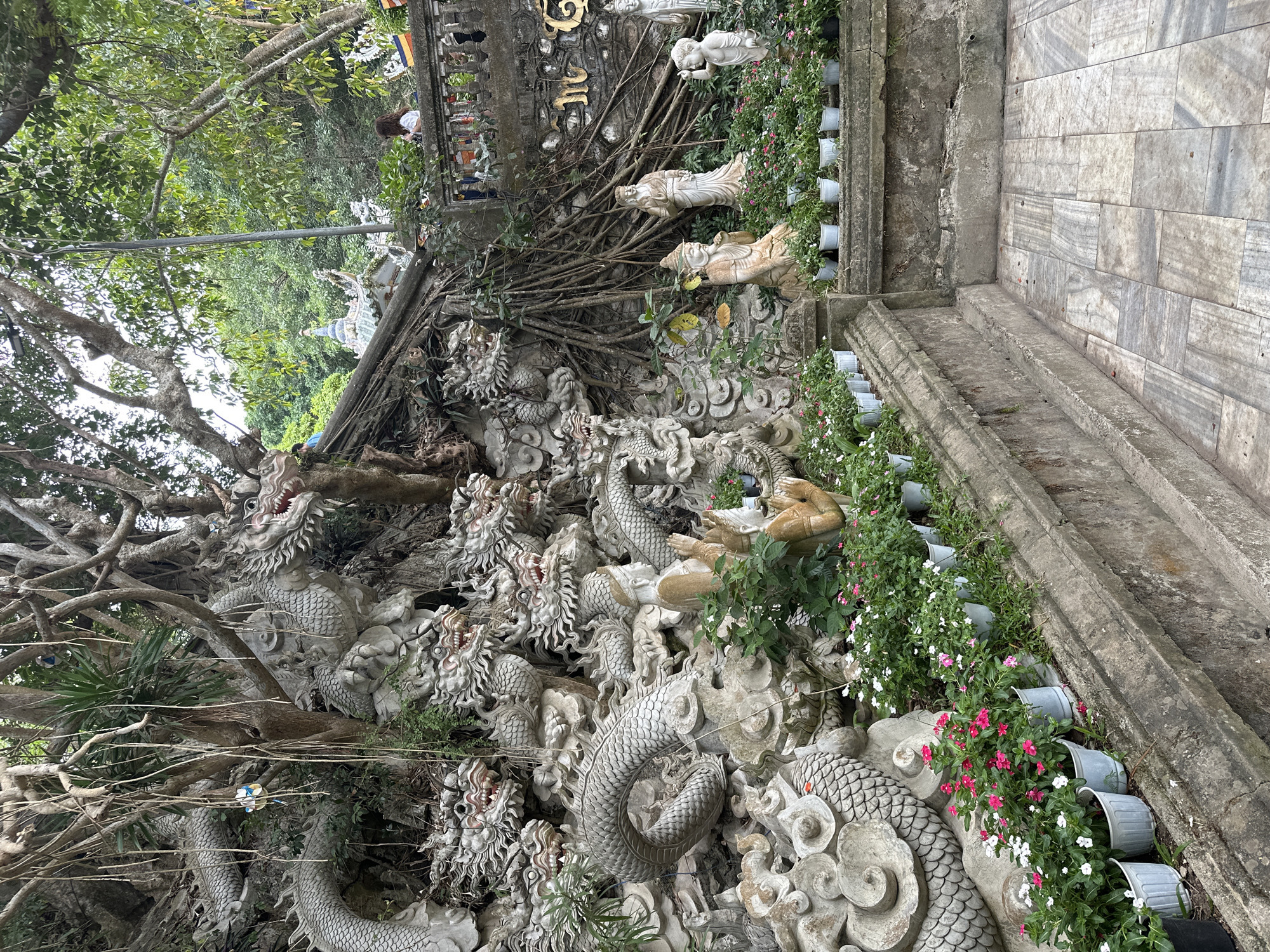 The image depicts a stone carving of multiple dragons intertwined with tree roots, situated on a hillside. In front of the dragon carvings, rows of potted flowering plants, with pink and white blossoms, are neatly arranged on a stone ledge. Behind the carvings, a stone wall with decorative elements and statues is visible. Several people are present in the background, observing the scene and the surrounding landscape. The location is identified as the Marble Mountains in Đà Nẵng, Vietnam, a popular tourist destination known for its caves, pagodas, and natural beauty. The overall scene conveys a sense of religious and natural artistry, with a blend of intricate carvings, lush vegetation, and architectural elements.